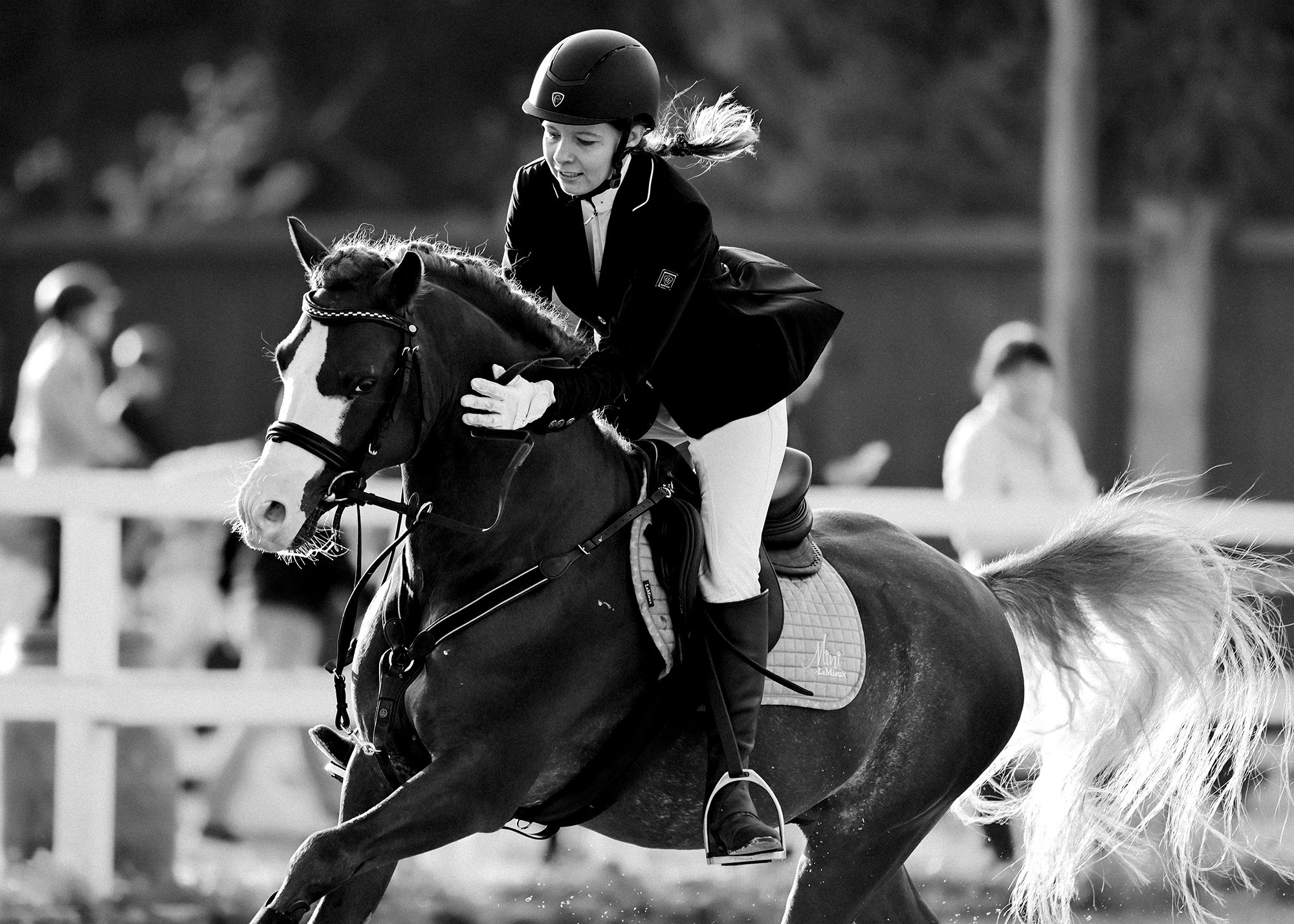 Конкур. Конный фотограф Alesya Safe