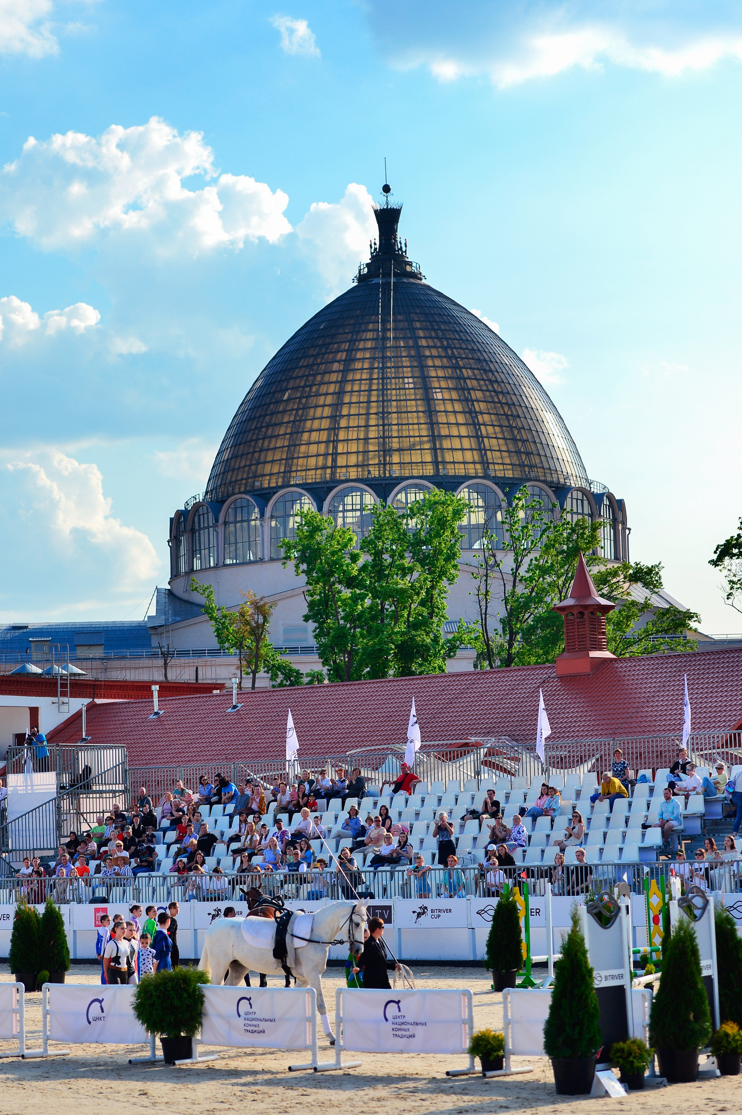 Репортаж Bitriver. Конный фотограф Alesya Safe