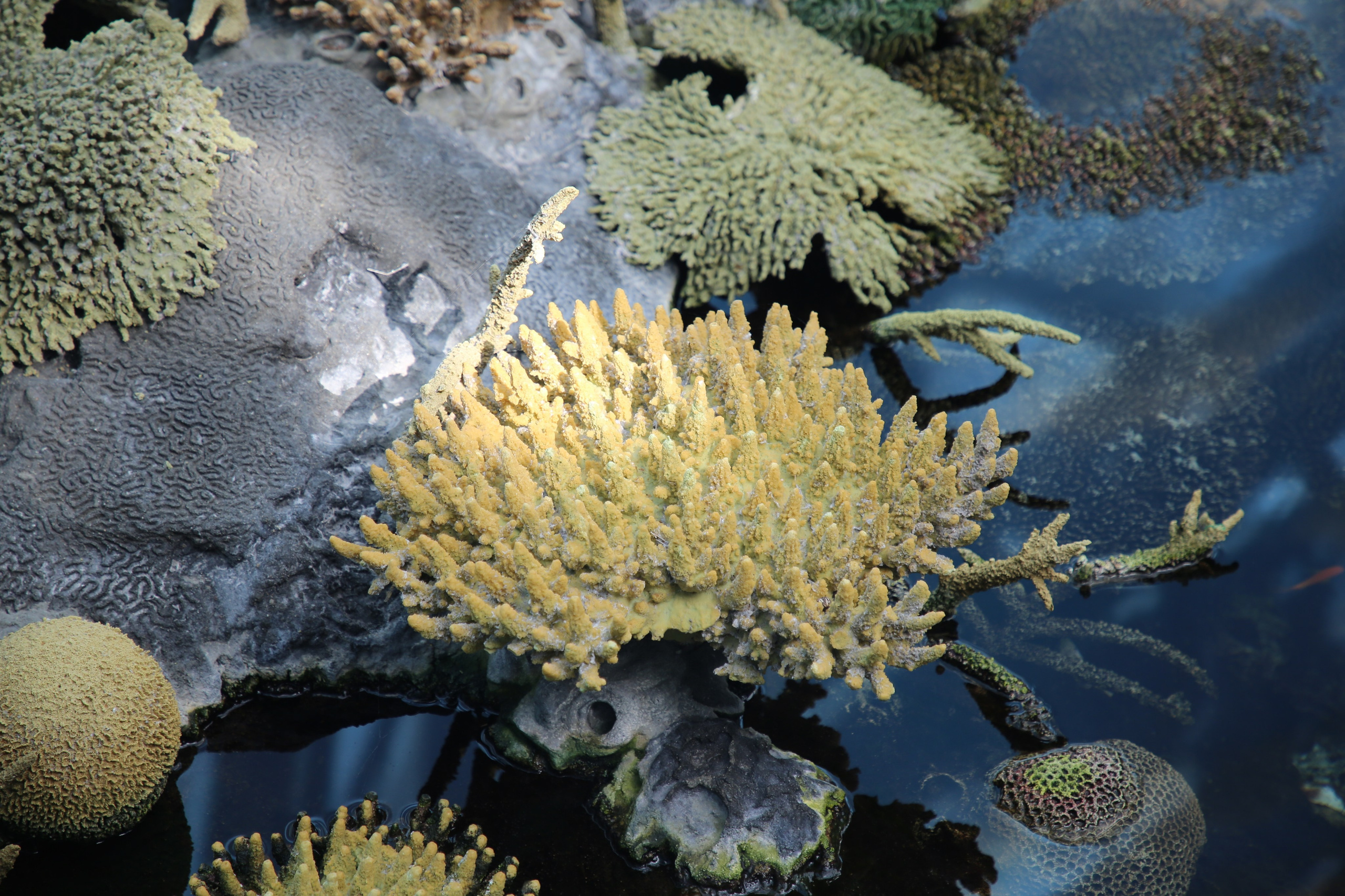 Lisbon, Portugal. Andrey Filippov Photographer