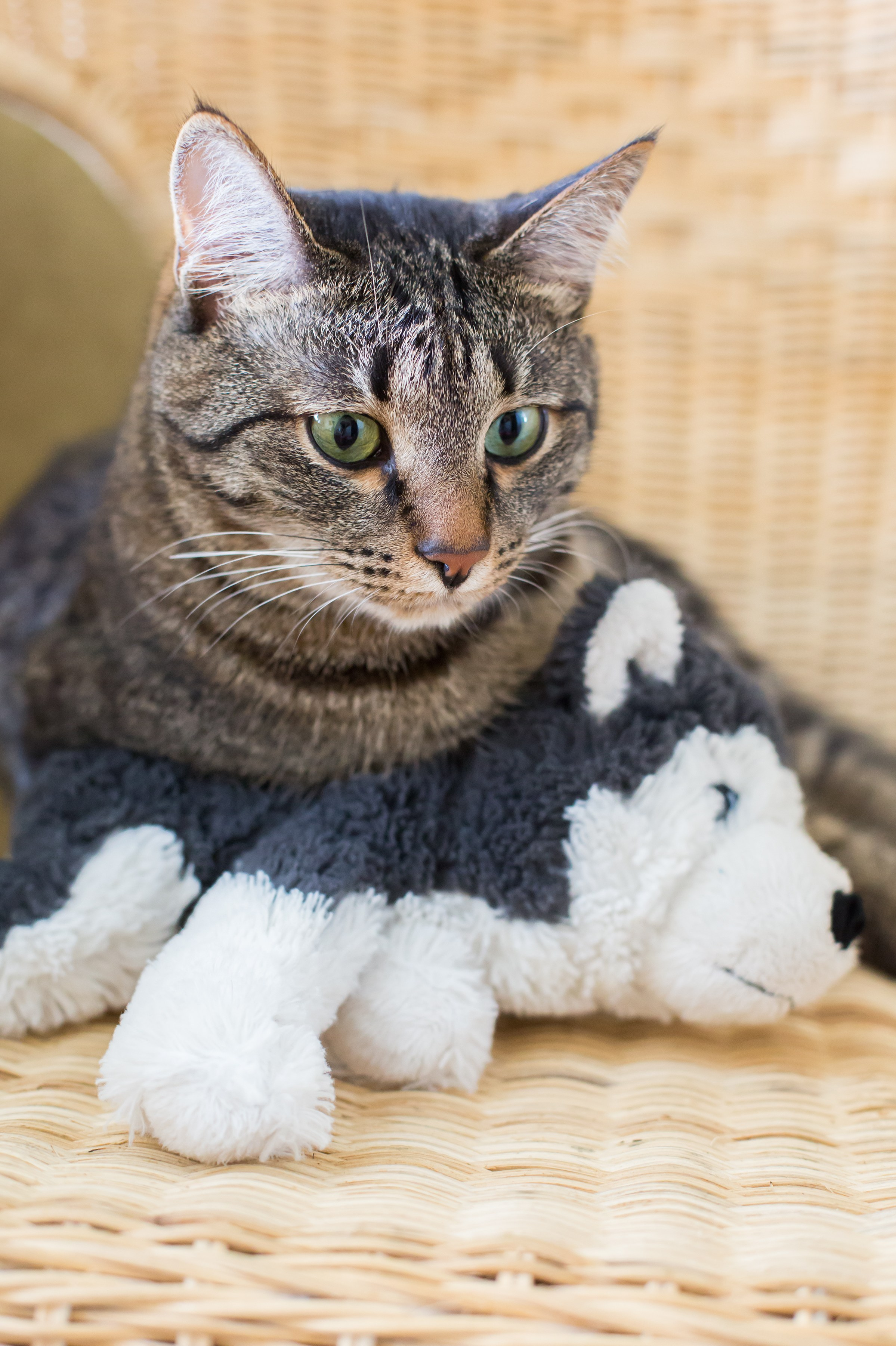 В гостях у бабушки. Репортажный, семейный и детский фотограф в Пензе и Заречном Арина Ермилова. Картины барельеф на заказ