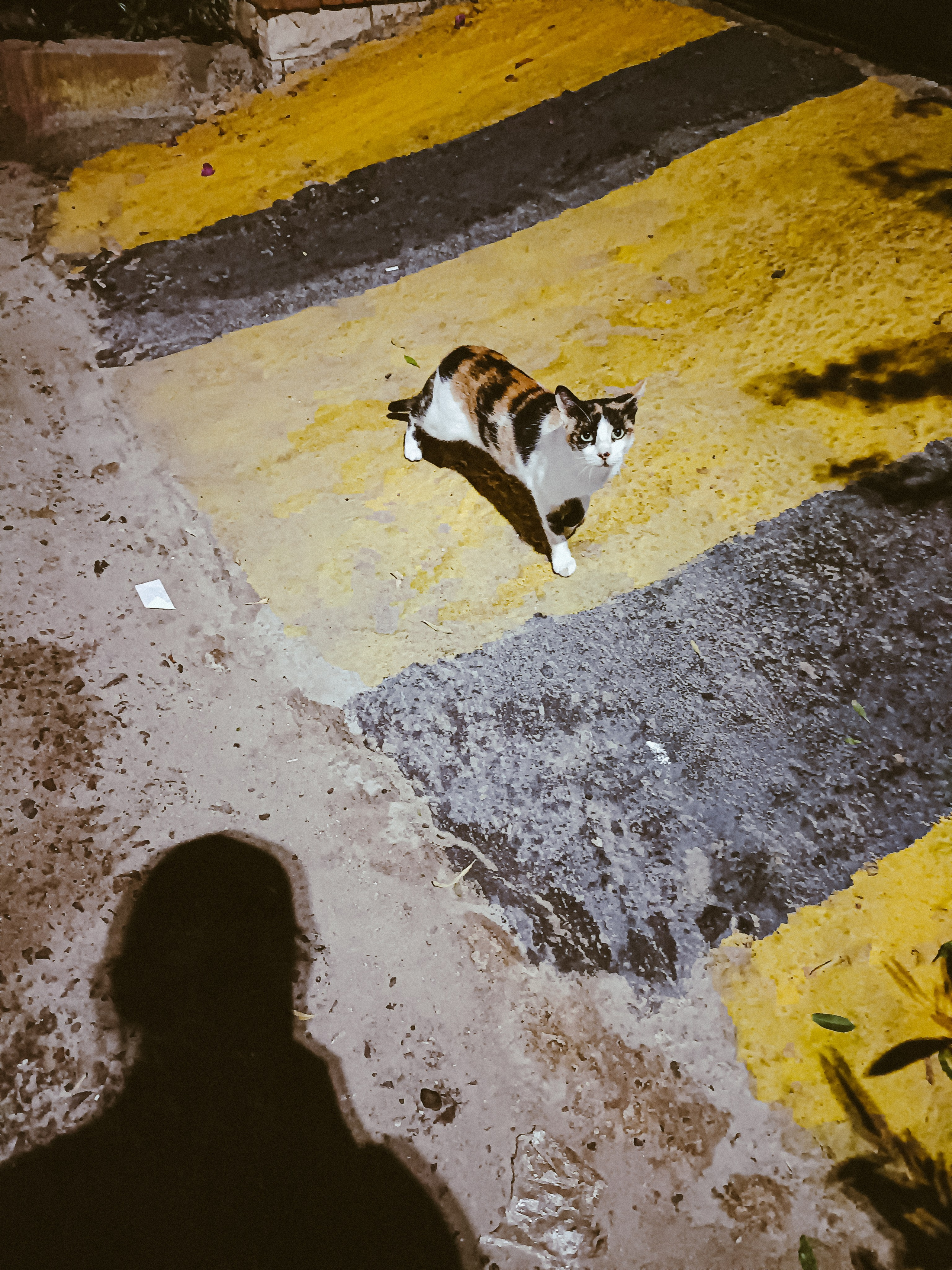 Мобильная. Jorgis — фотограф в Хургаде / обучение фотографии