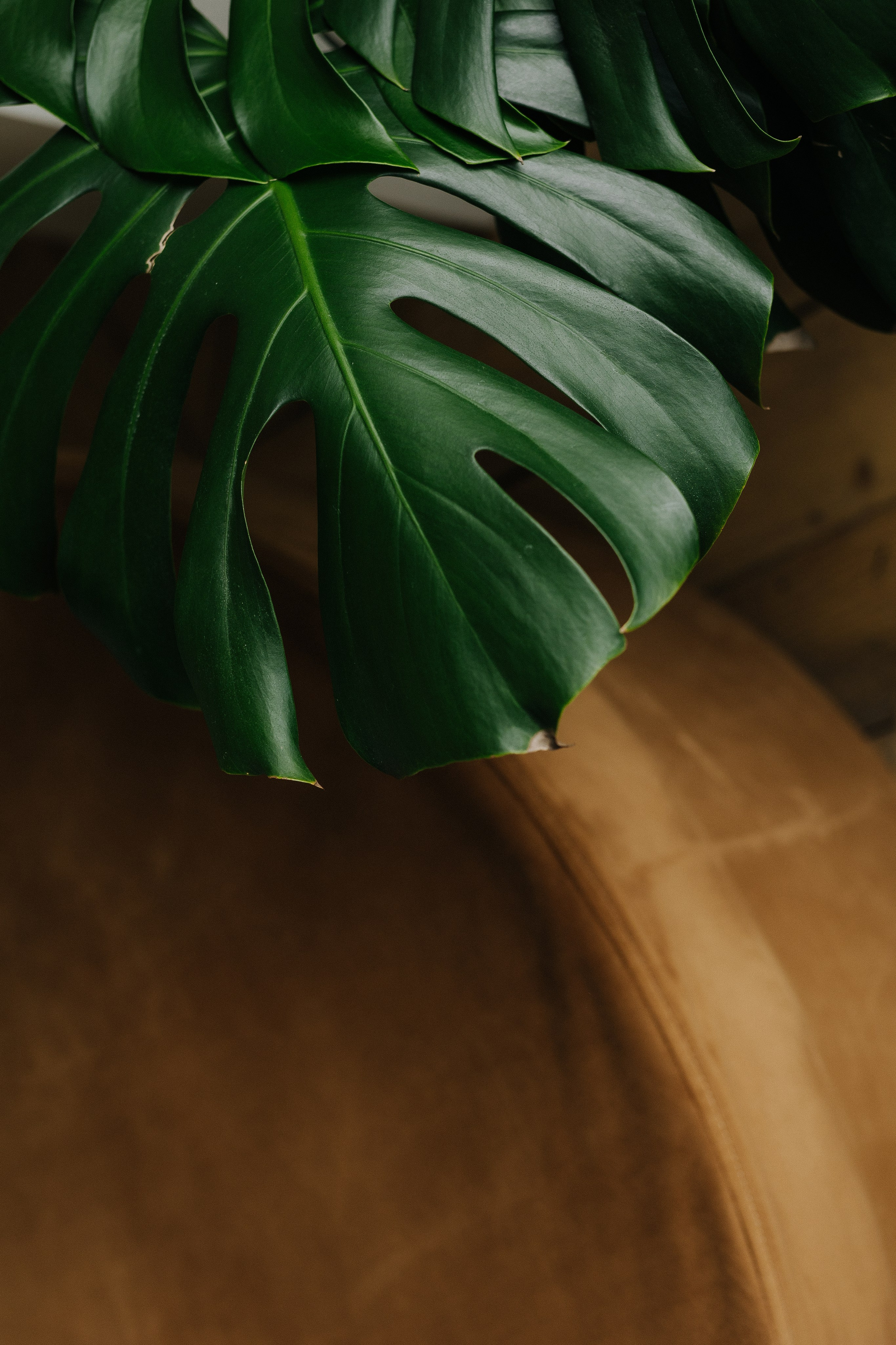 Дача-лофт, Дача. Свадебный семейный и детский фотограф в Краснодаре Карина Федоровская