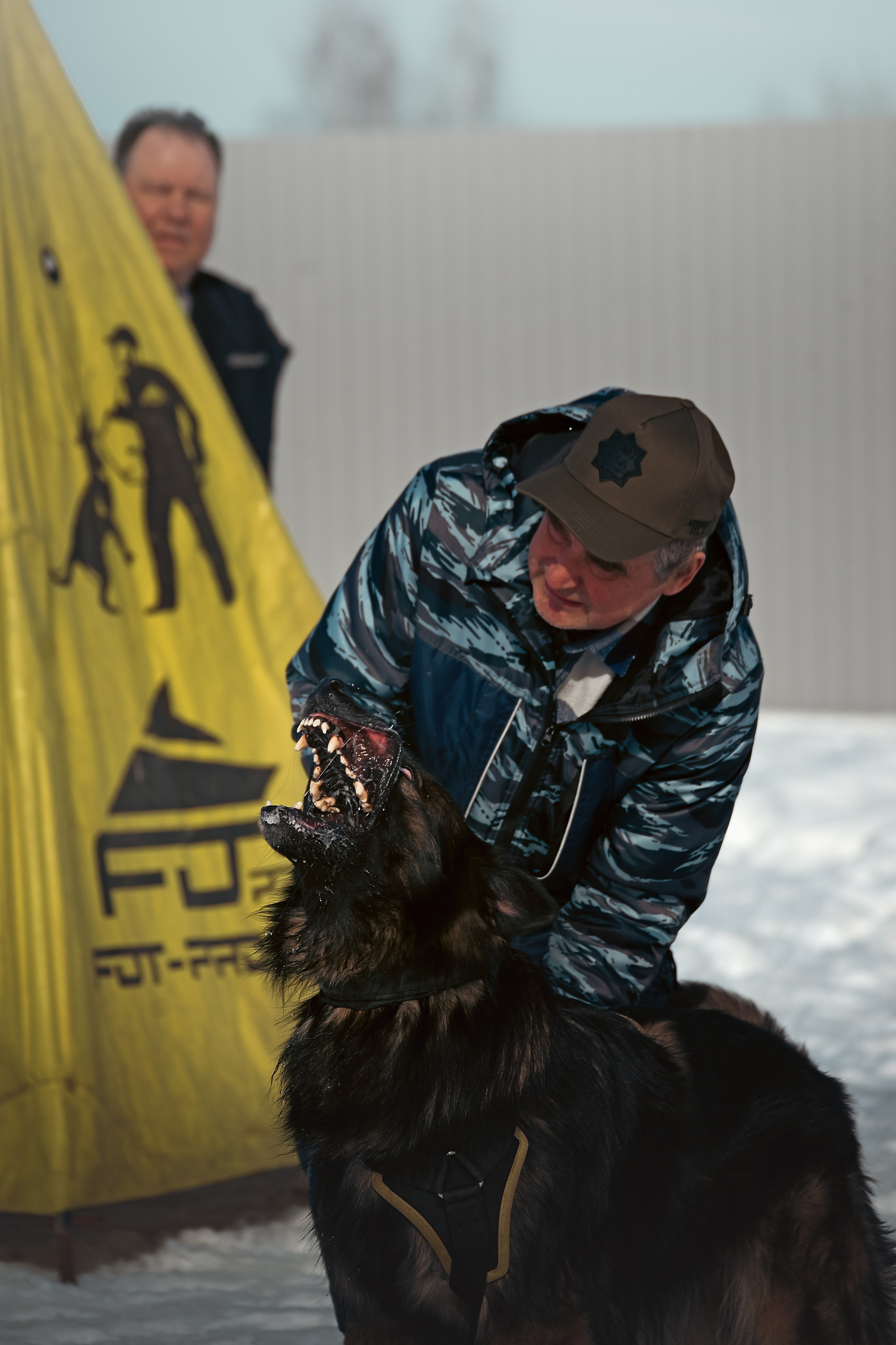 Репортажная съемка. Фотограф-анималист Нижний Новгород