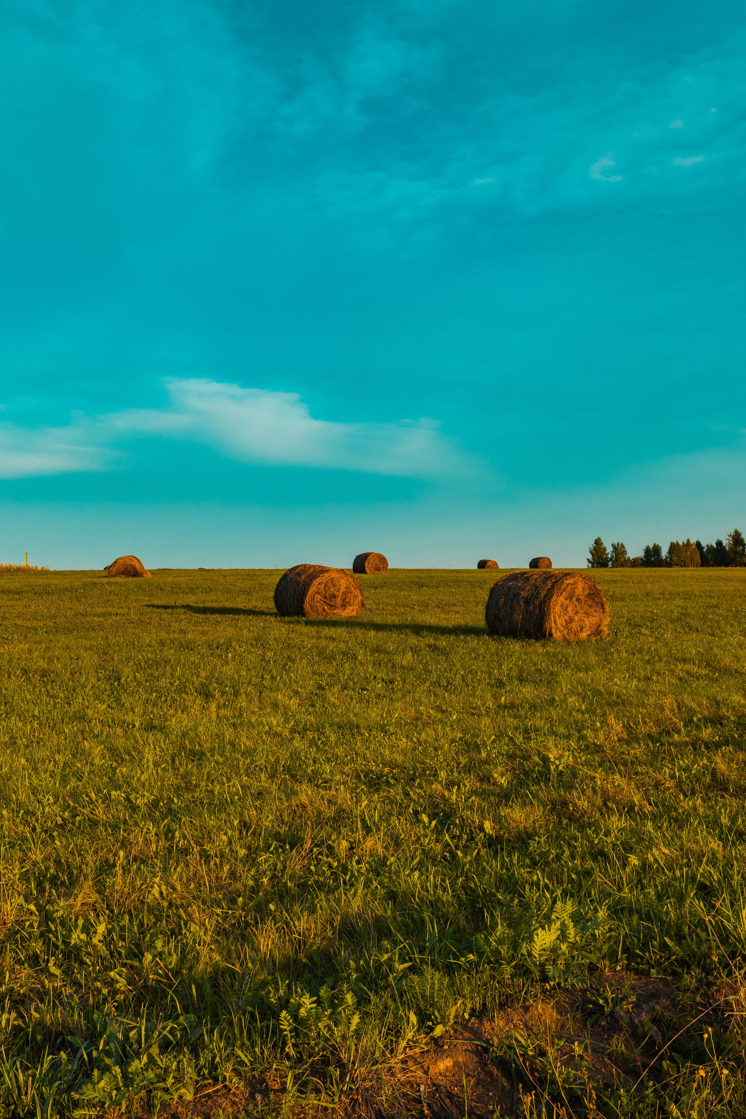 Деревня Мишнево | Калужская область. Папка кадров 📁