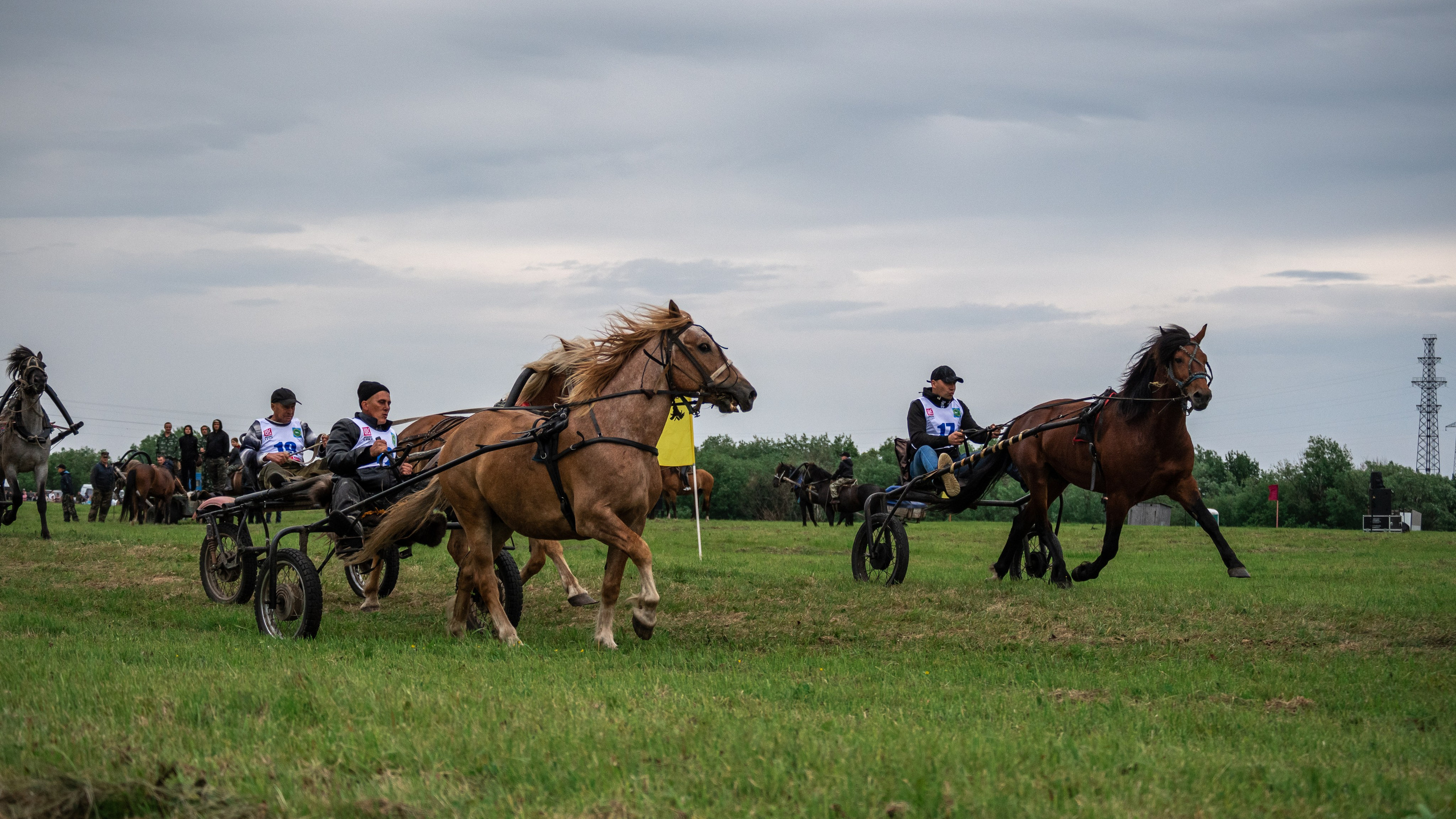 Луд 2023. Фотограф в с. Ижма Республика Коми Терентьев Сергей
