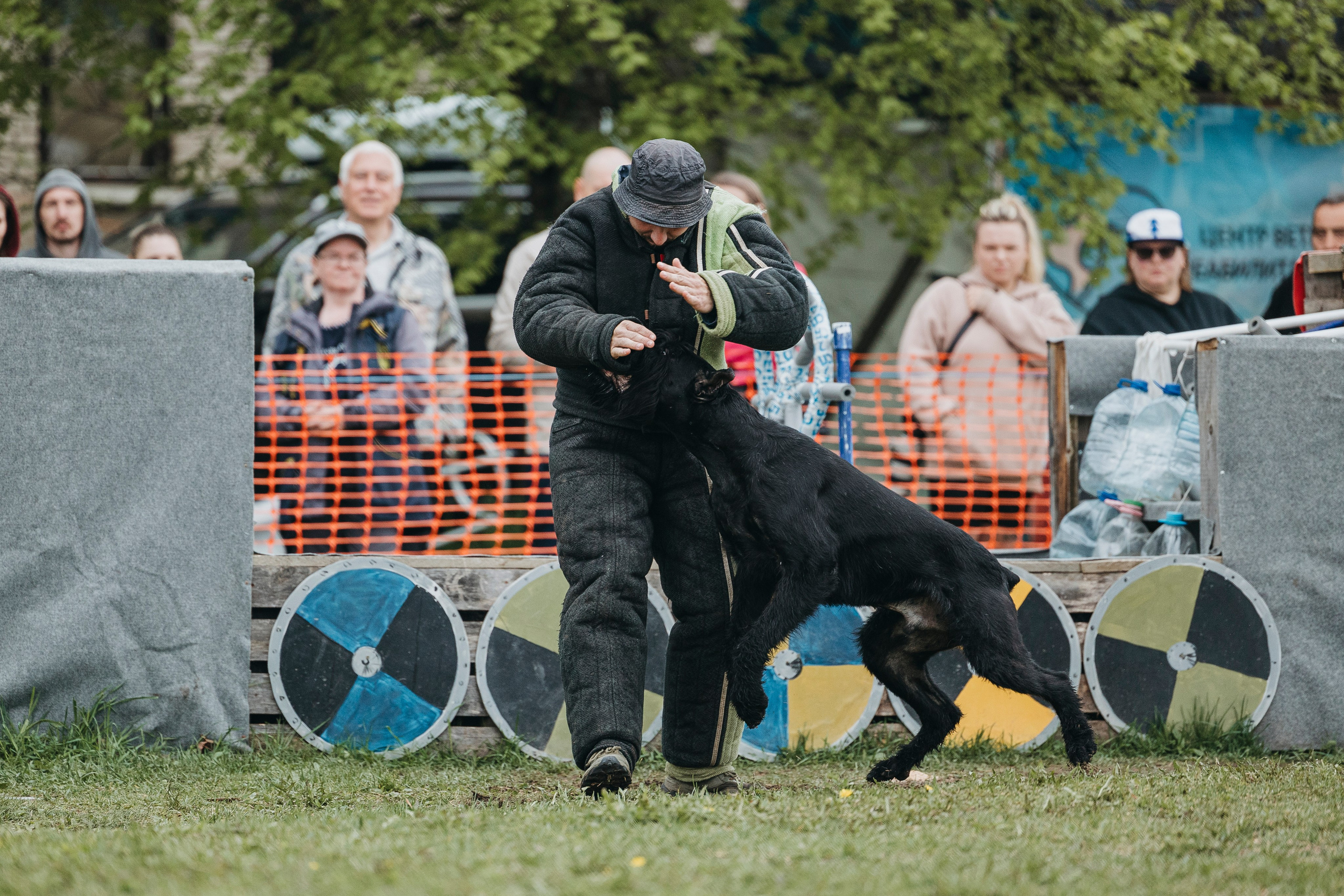 26.05.25 г. Пушкин квалификационные соревнования. Фотограф-анималист Анна Маринич
