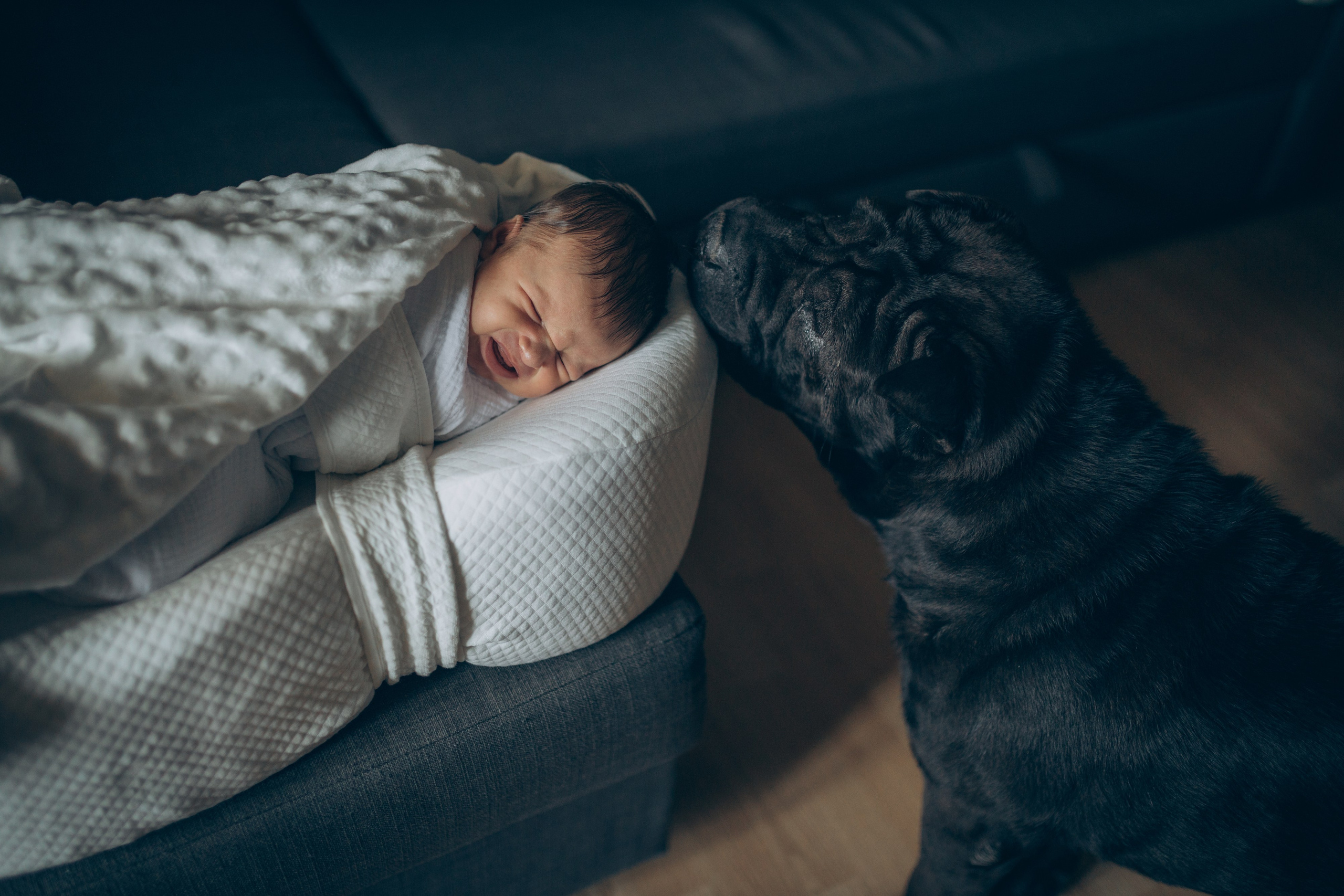 Дана. Семейный фотограф и фотограф на роды в Ростове-на-Дону Мухина Виктория