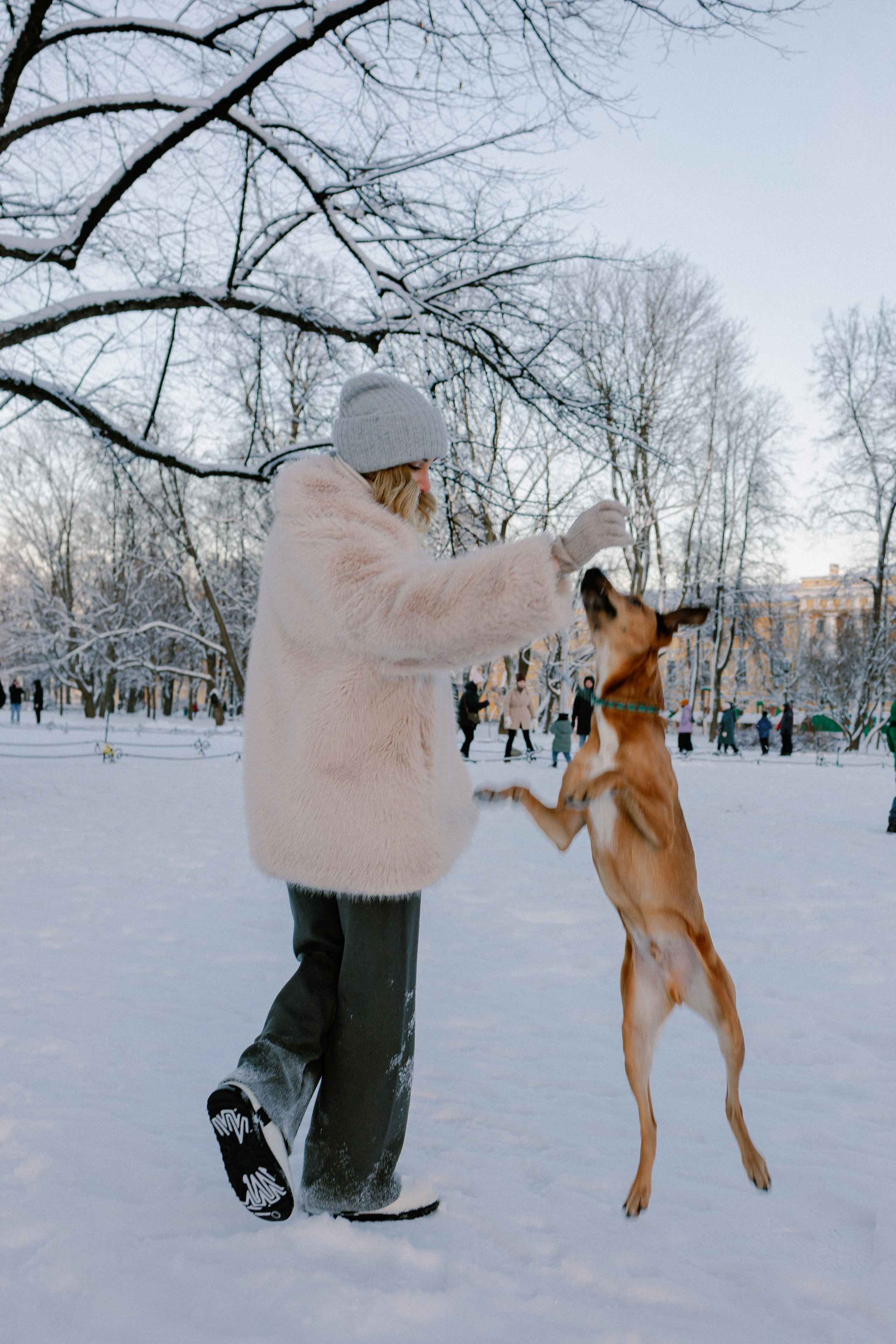 Лора и Бони в СПб. Фотограф в Санкт-Петербурге Алёна Губинская
