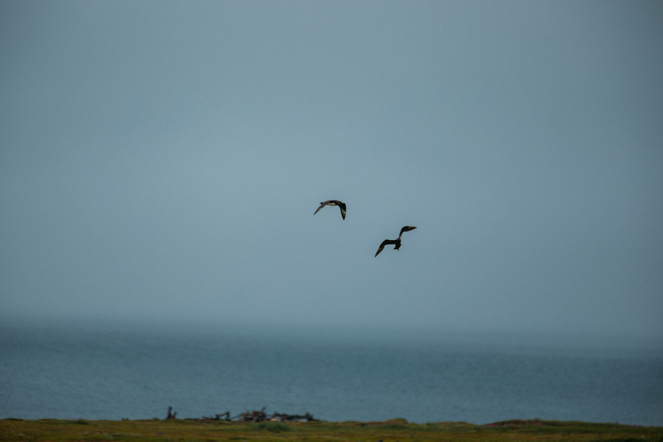 Кольский полуостров. Фотографирую для себя, своей семьи и друзей!