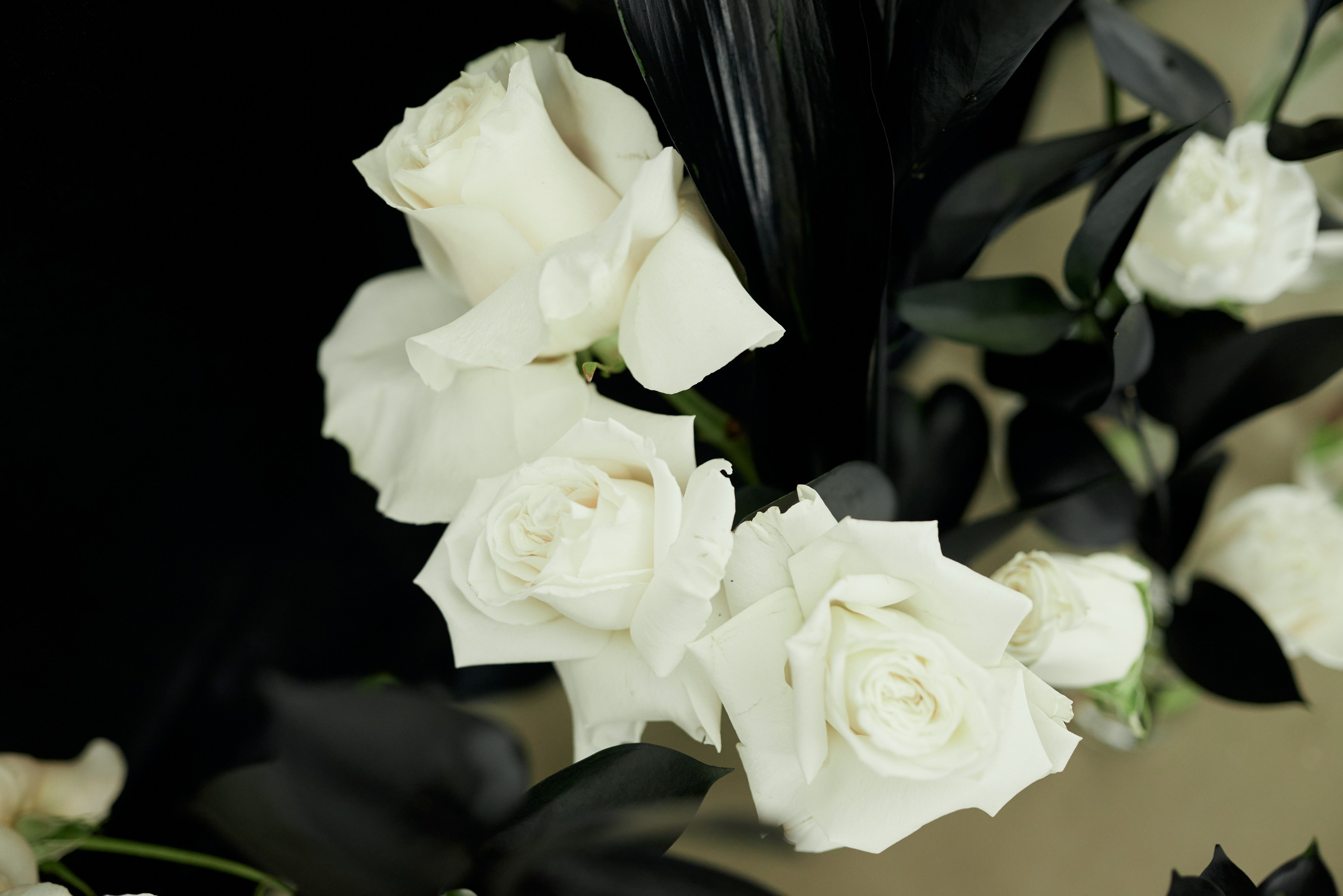 Кристина и Кирилл. Свадебный фотограф Александр Браво