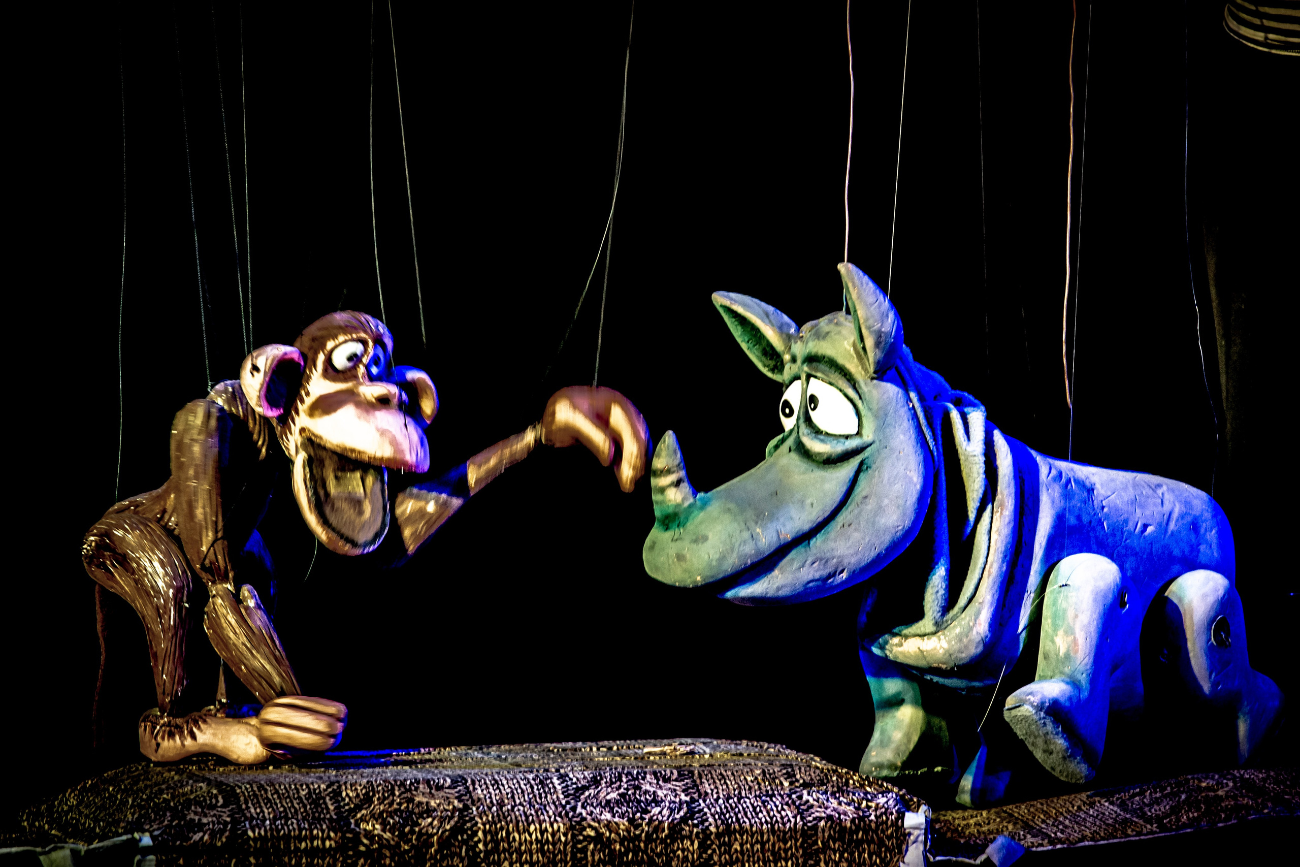 Жирафа и носорог спектакль театра Саквояж. Фотограф в Сочи Юрий Шептаев