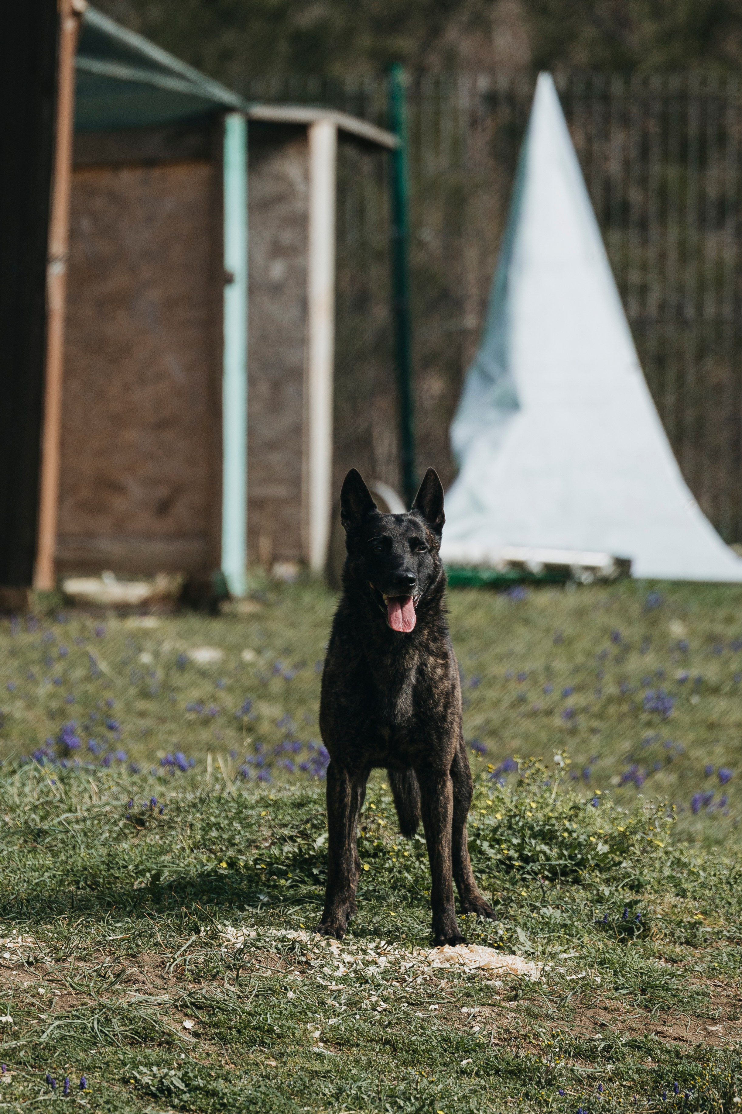Геленджик Мондьоринг. Фотограф-анималист Анна Маринич