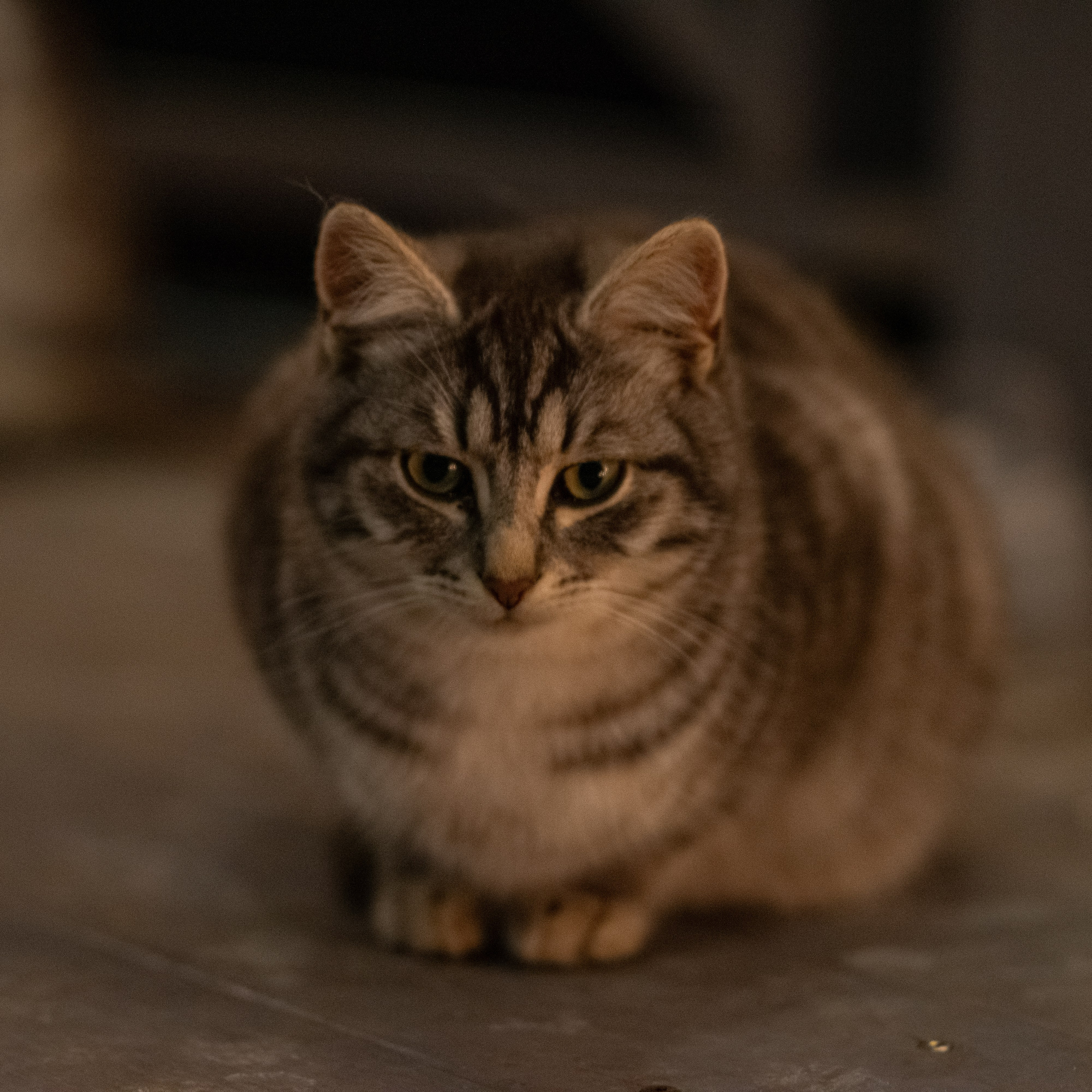 Примеры фотографий SMC Pentax 67 105mm f2.4 через переходник на Sony A7