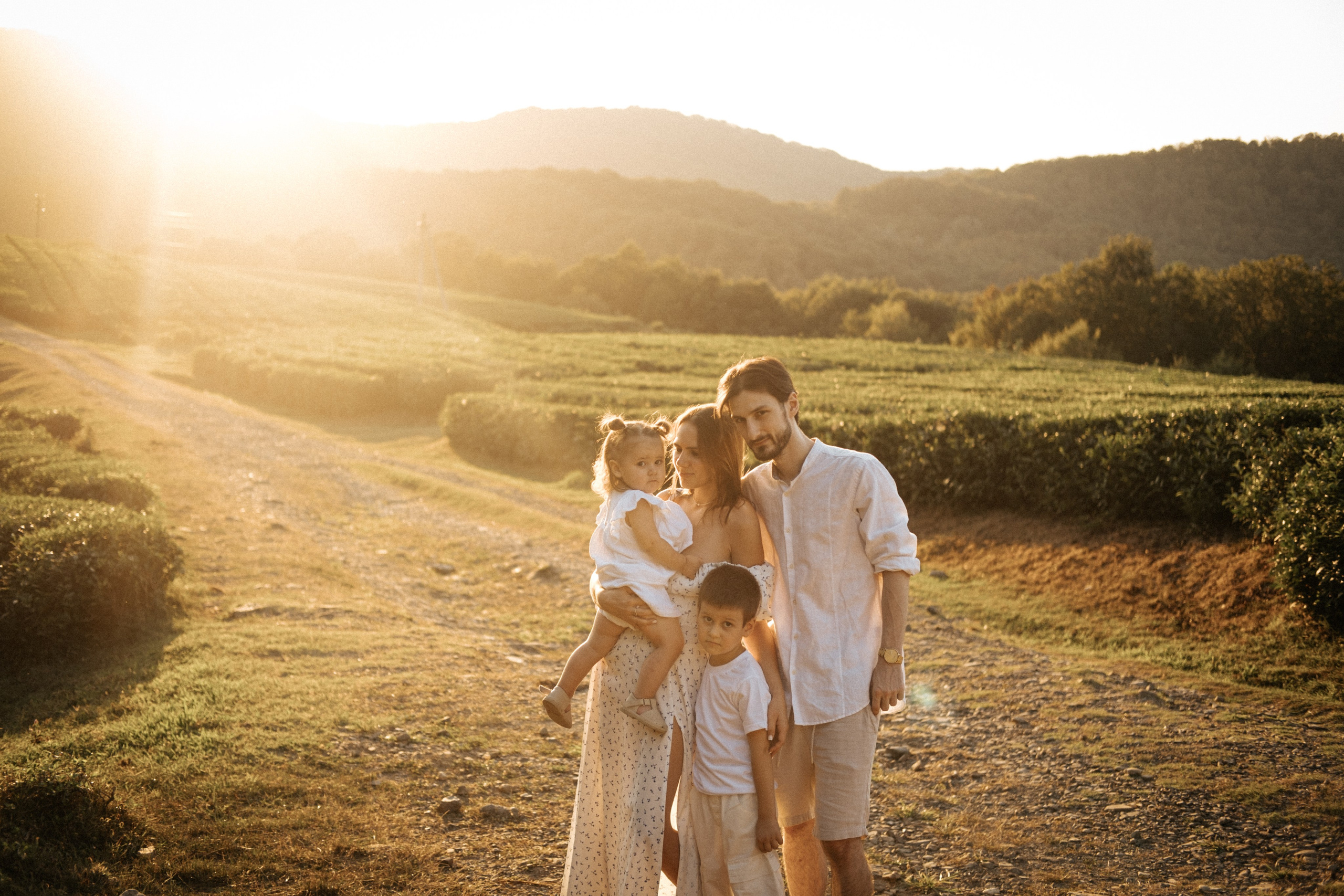 Плантации. Главная