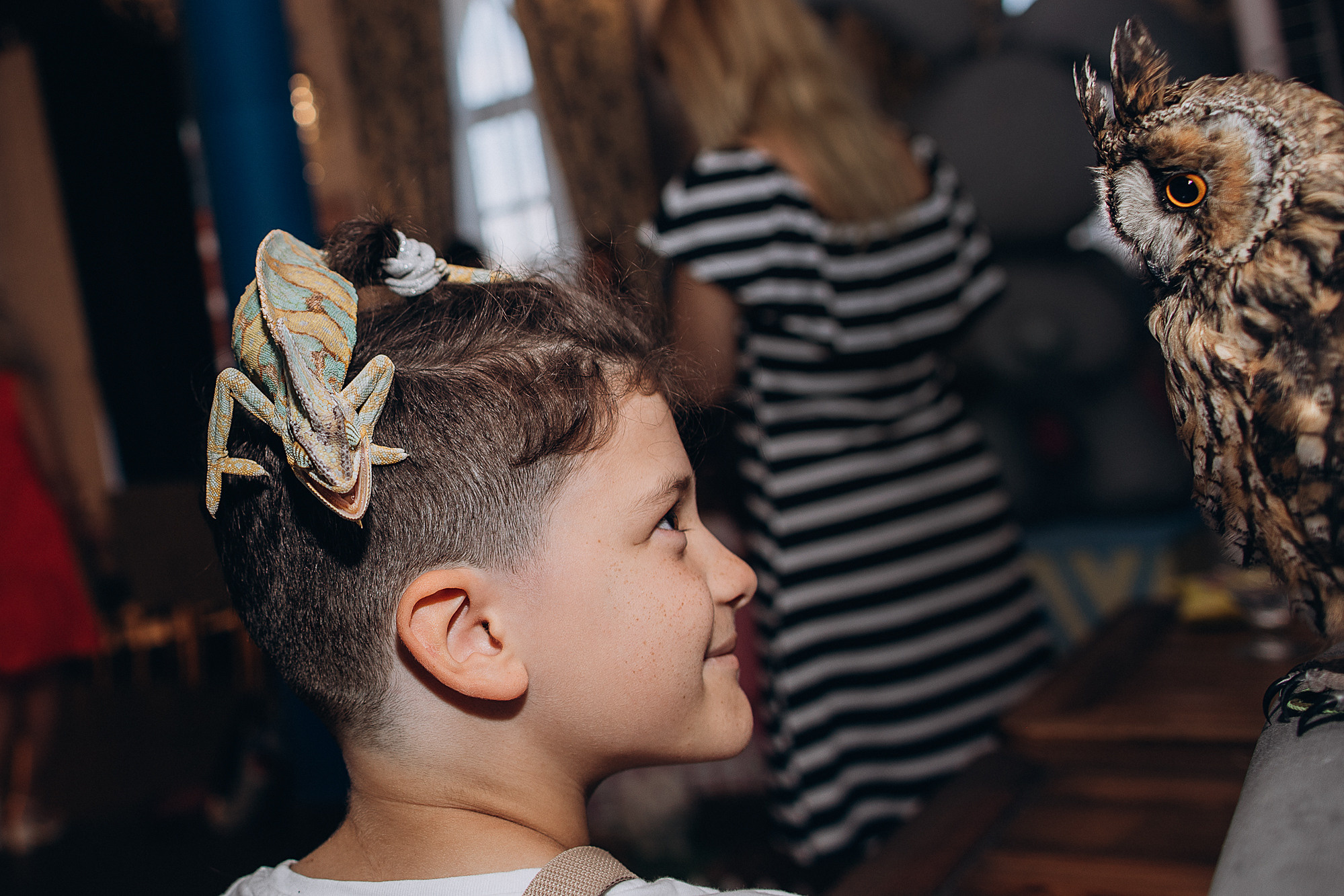 Алина кафе Андерсон. Портретный фотограф в Москве и МО Зимина Татьяна