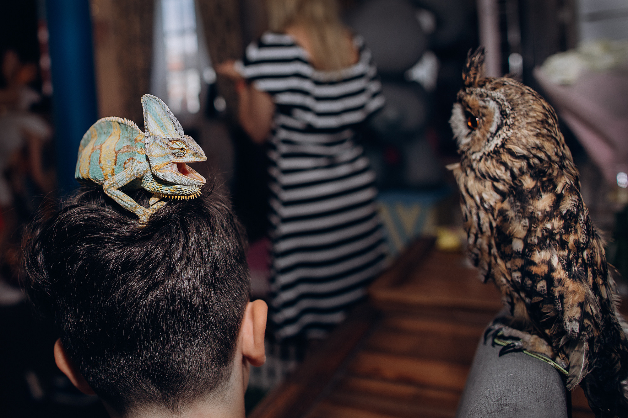 Алина кафе Андерсон. Портретный фотограф в Москве и МО Зимина Татьяна