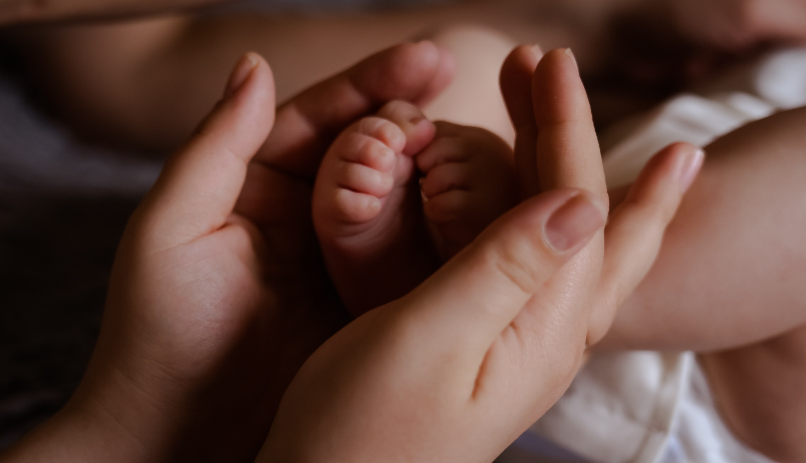 Кроха. Фотограф в Ростове-на-Дону Анна Малахова