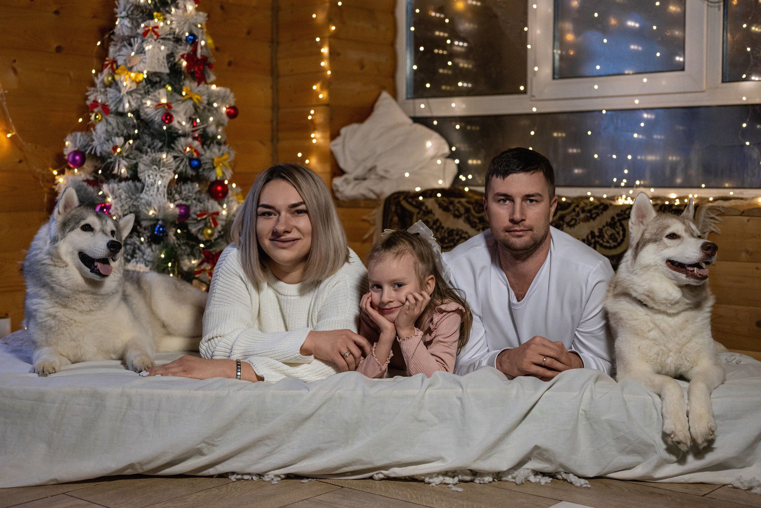 Фотопроект с хаски 2024 г. Фотограф в городе Салават