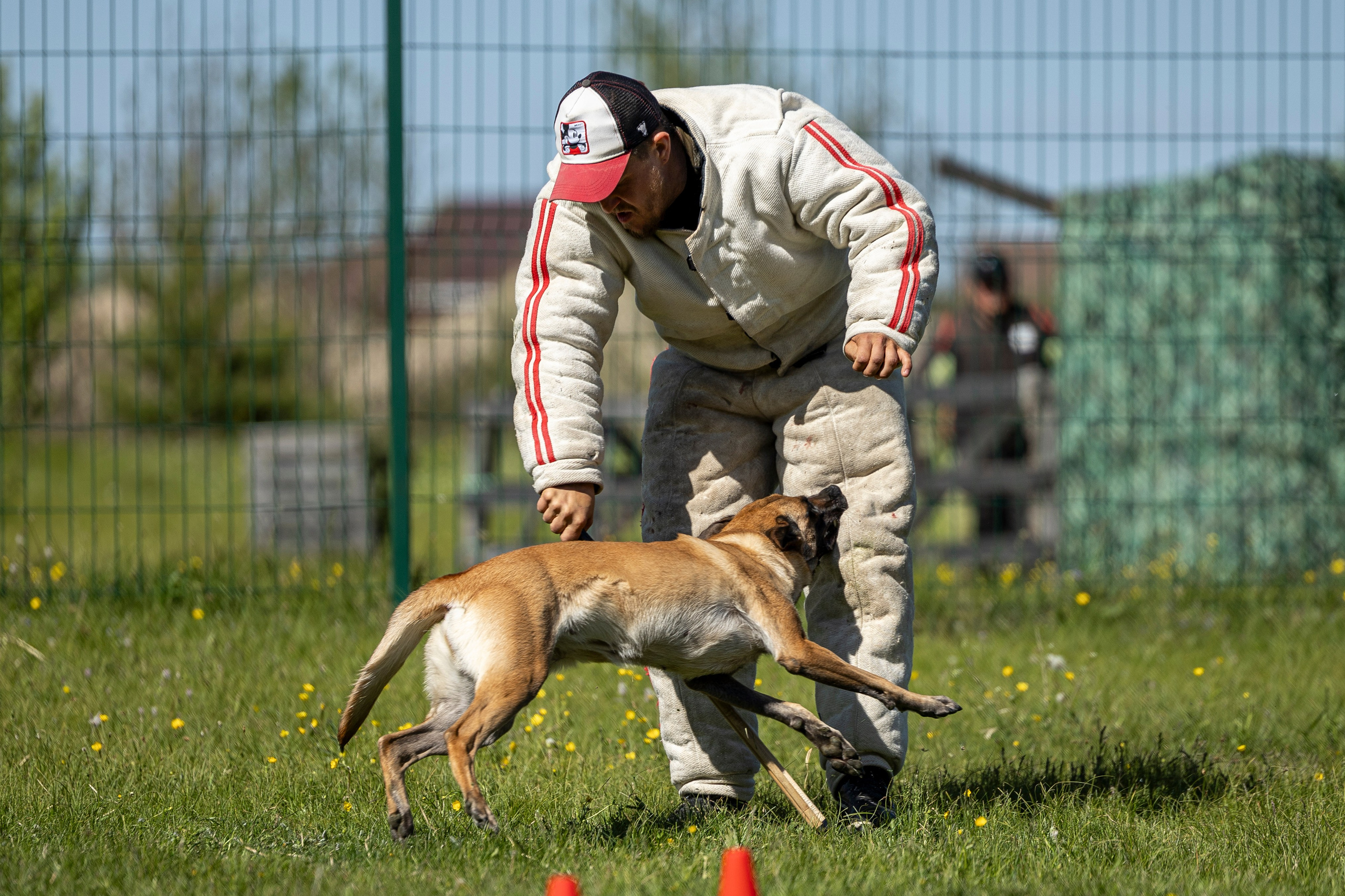 Испытания по мондьорингу в Нижнем Новгороде. Фотограф-анималист Анна Маринич