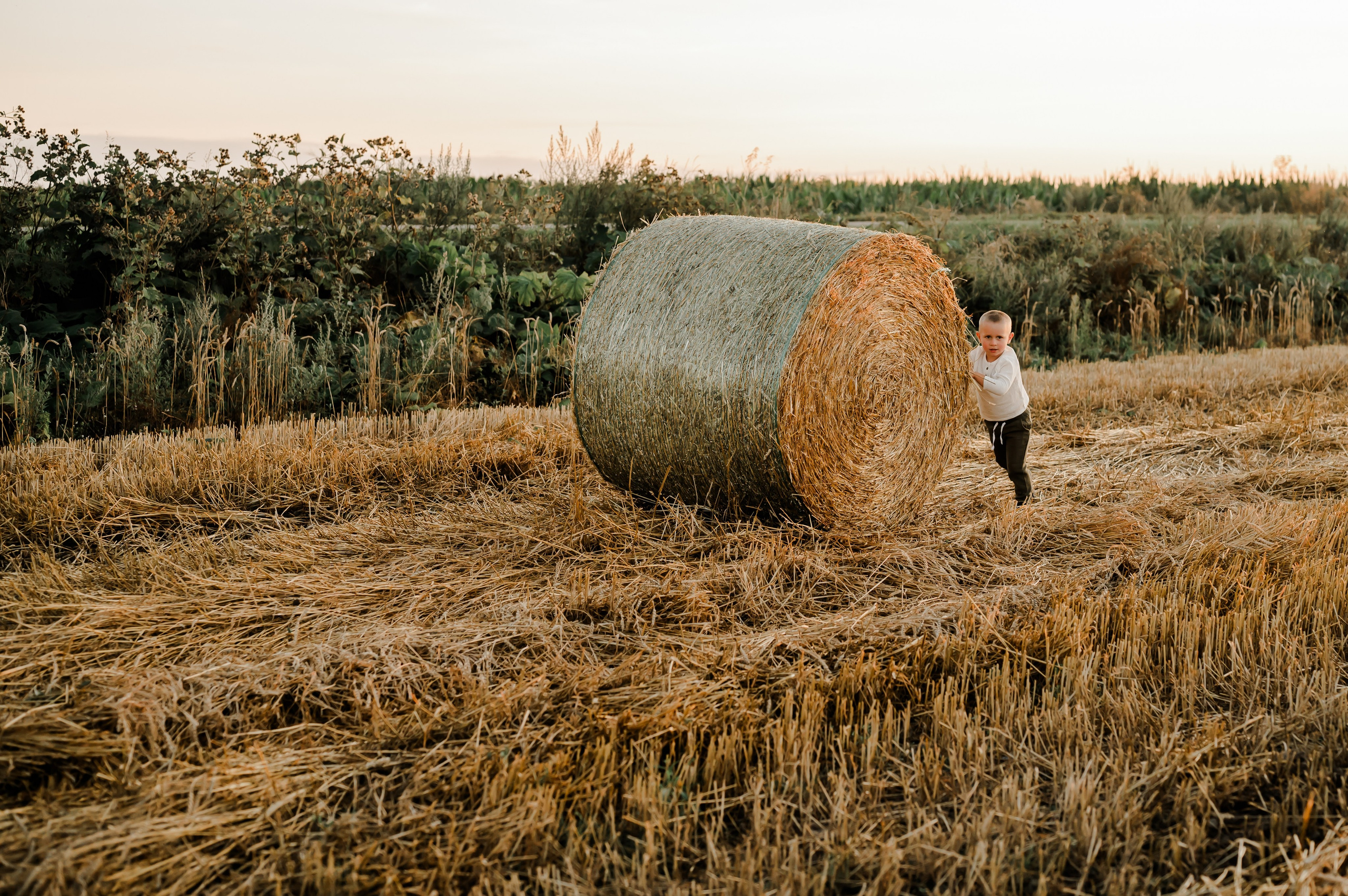 Кукуруза+сено, семейная фотосессия. Свадебный и семейный фотограф Евгения Кононова