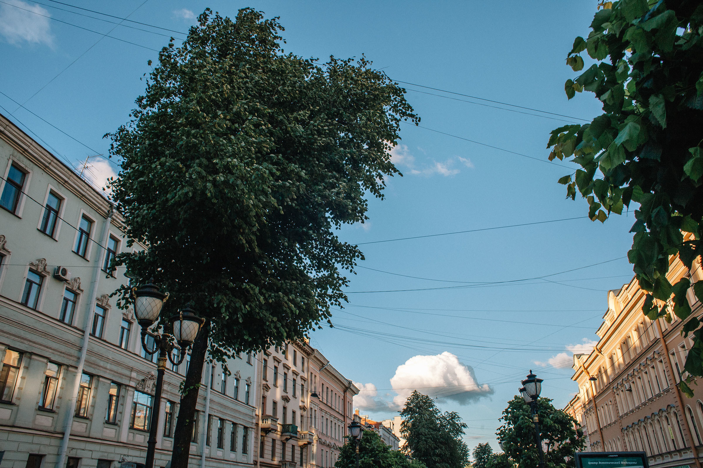 Витебский китайский дворик Ахматова. Семейный и свадебный фотограф в Майкопе Михаил Мартиросян