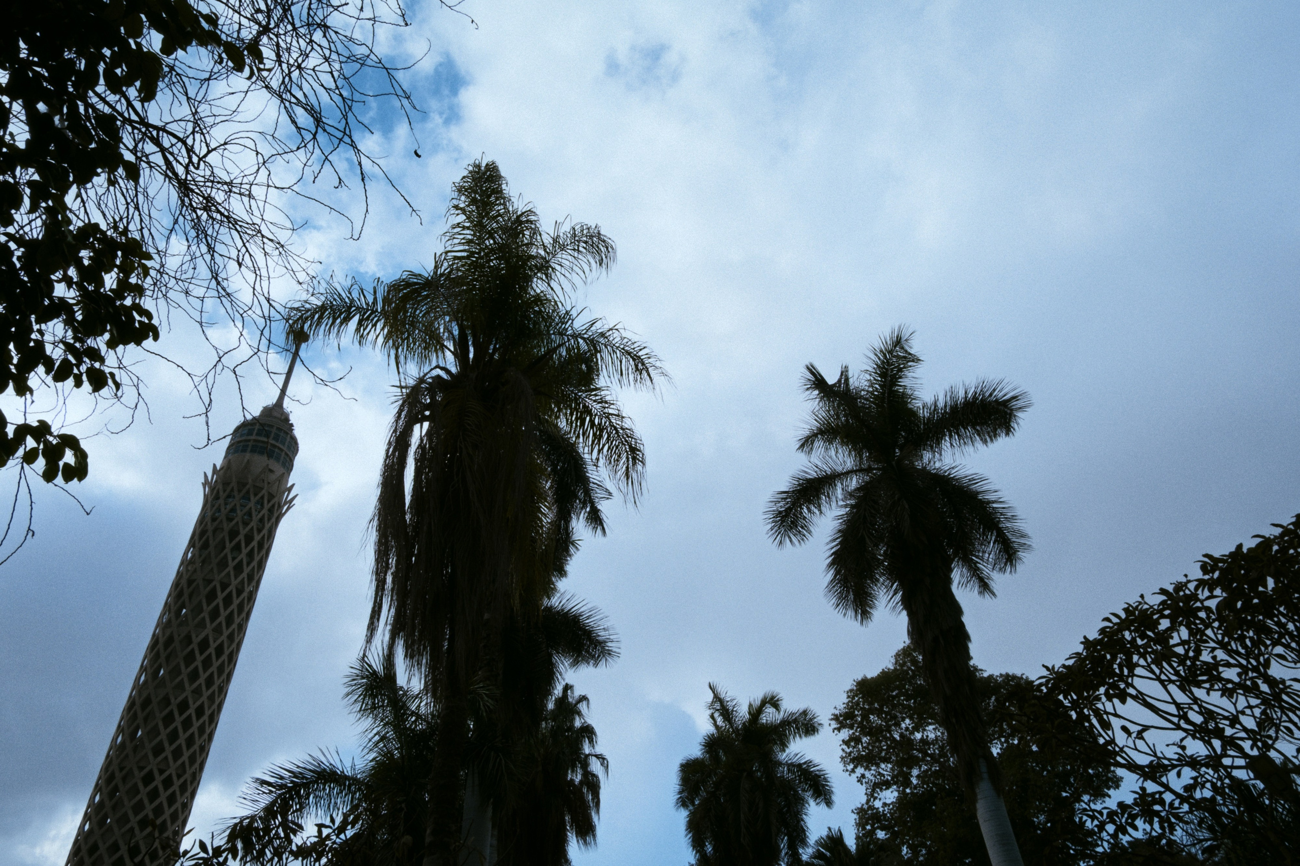 Cairo / Egypt AW25. Фотограф Юрин Евгений