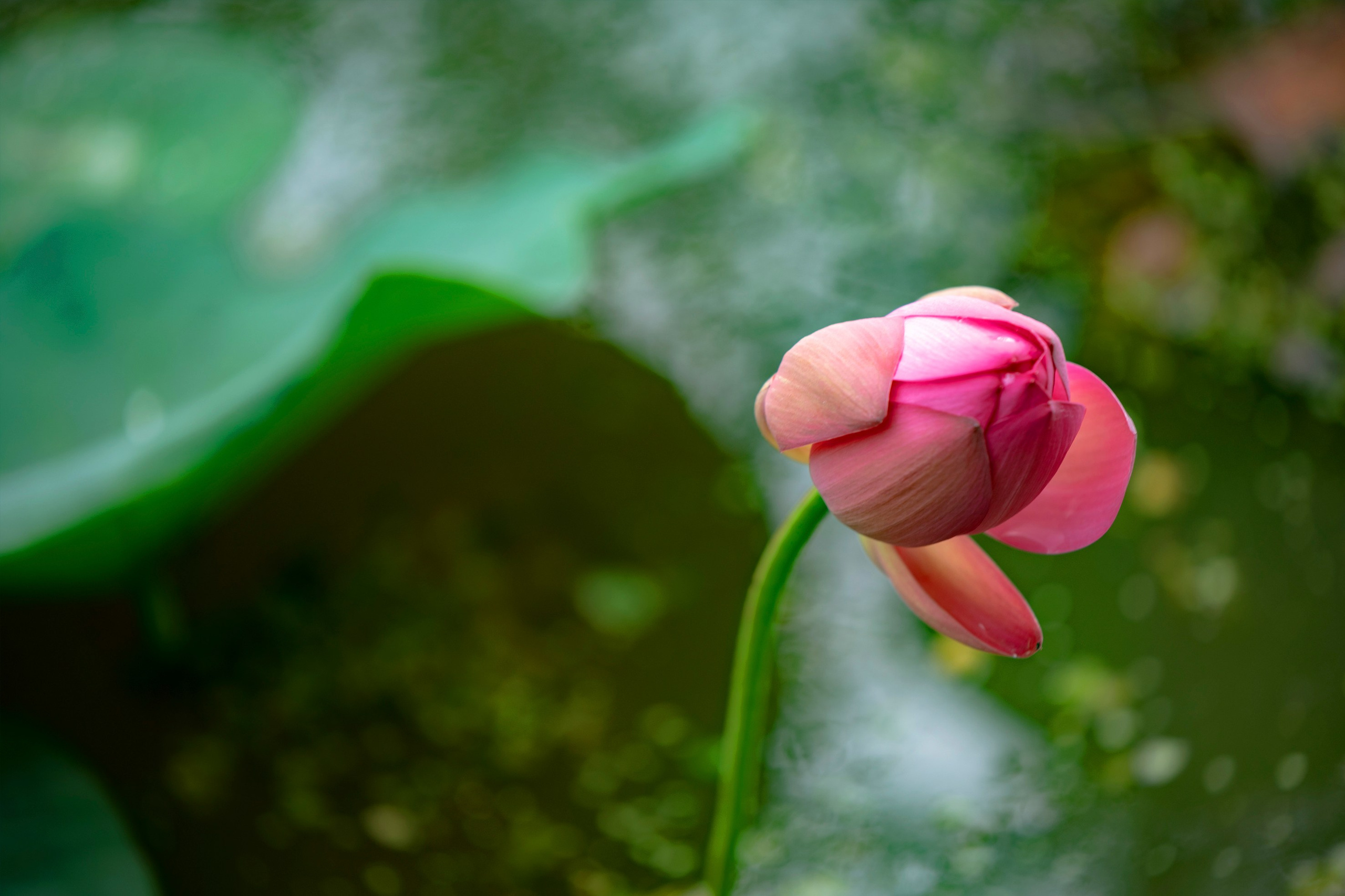 Природа Хабаровского края. Команда фотографов Кристины Ивановой