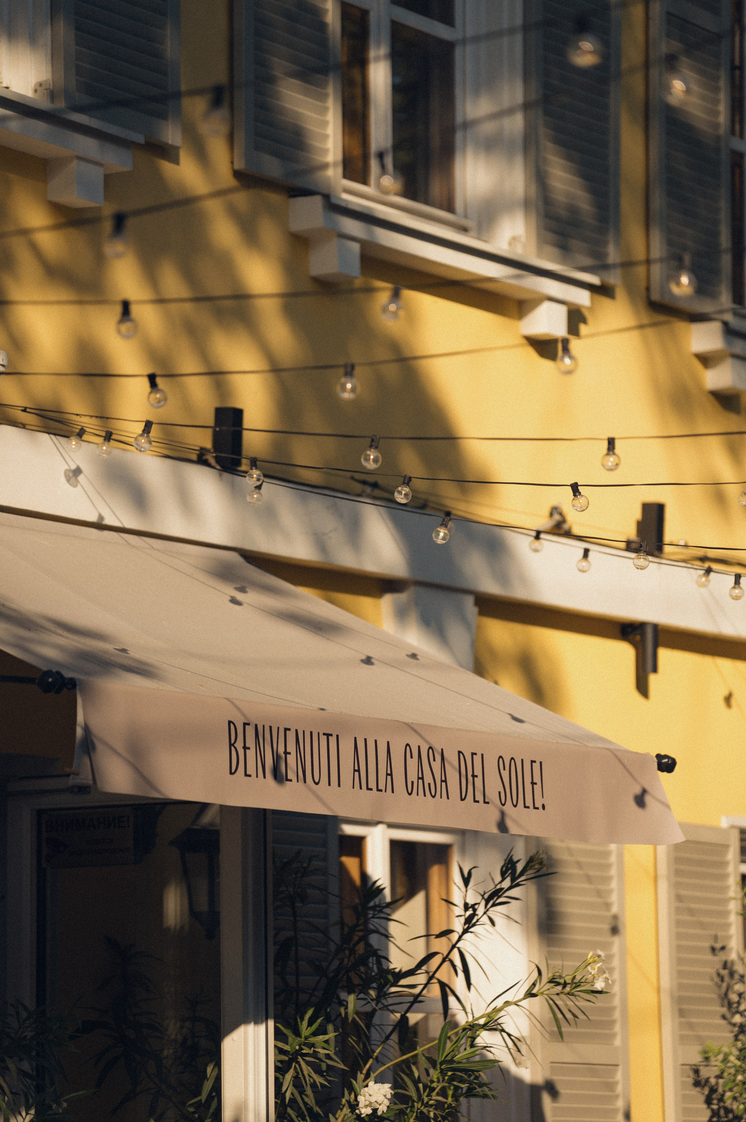 Данил и Оля. Свадебный фотограф и видеограф