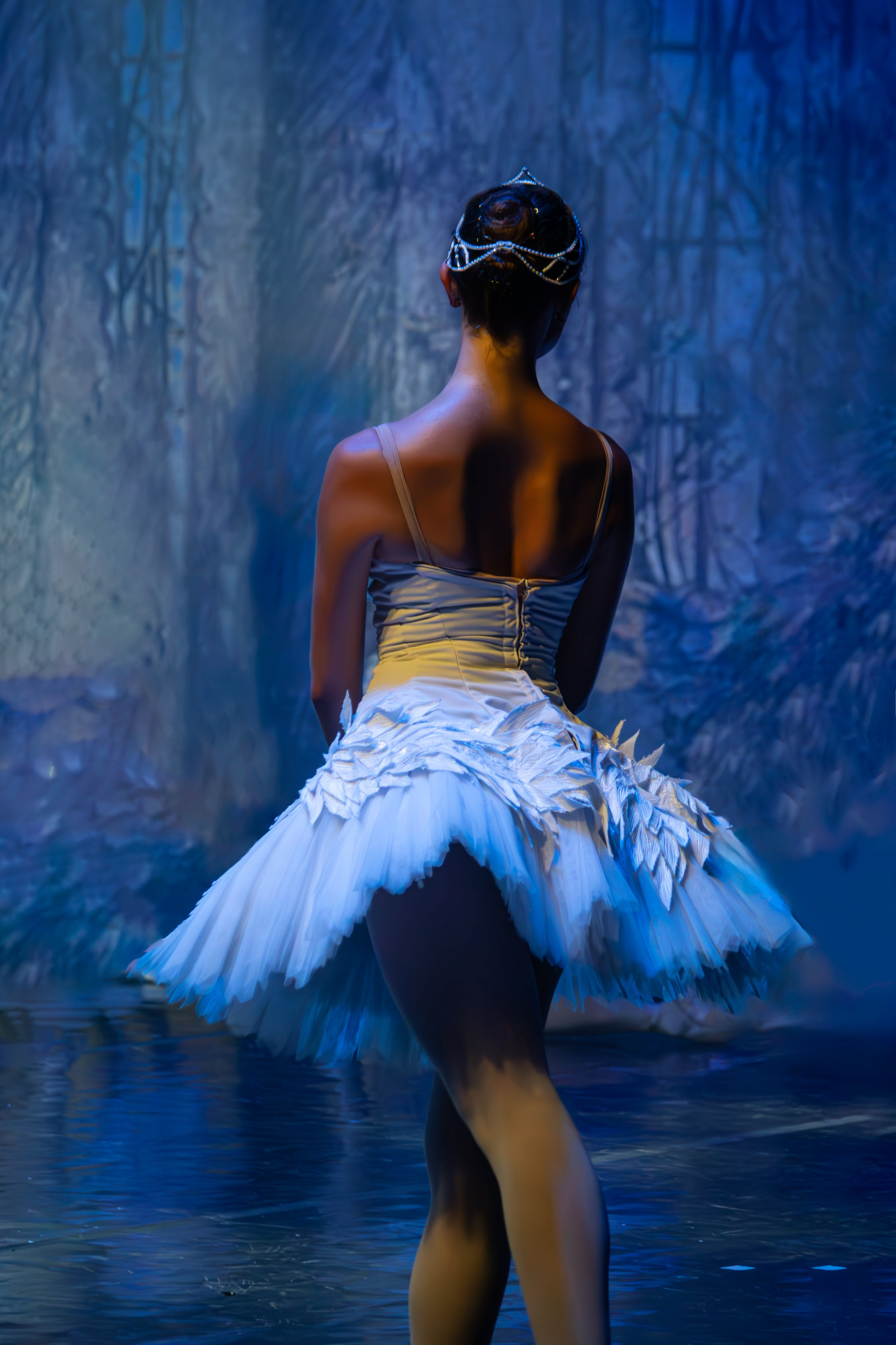 Лебединое озеро. Имперский русский балет. Фотограф в Нижнем Новгороде Екатерина Хисматулина