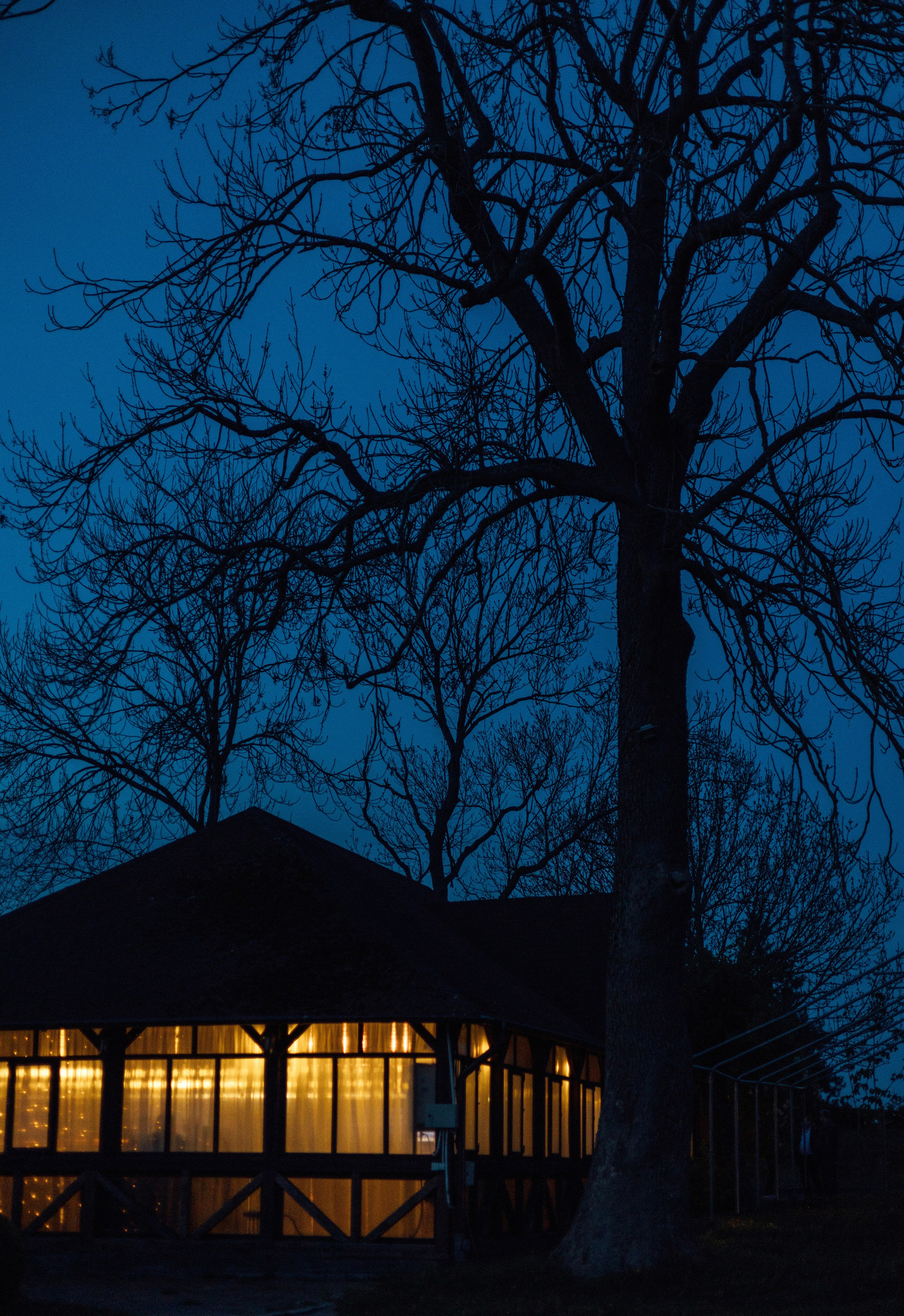 Свадьба Вера и Сергей. Главная