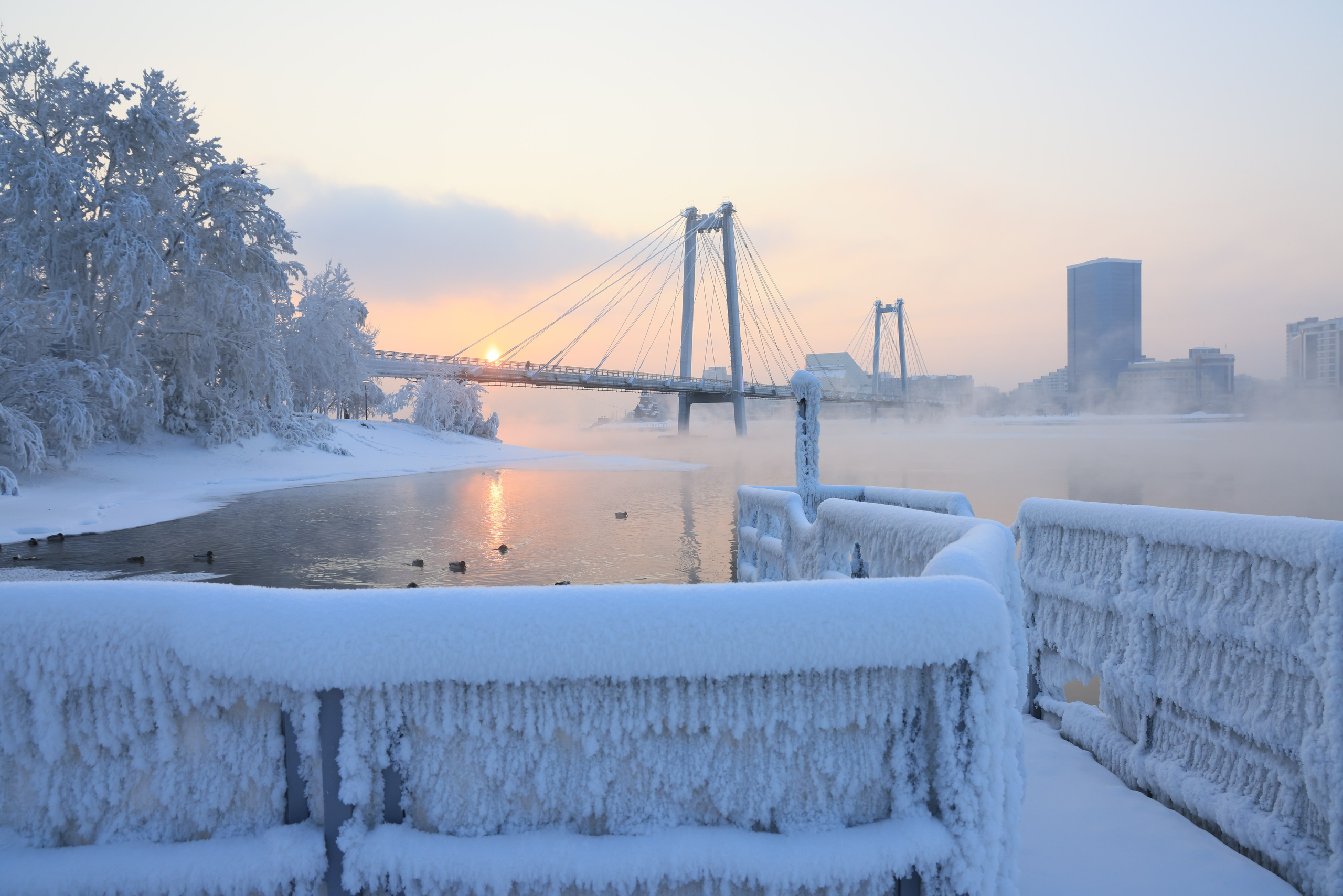 Мир вокруг нас. Разное. Фотограф Наталья Кузьмик г. Красноярск
