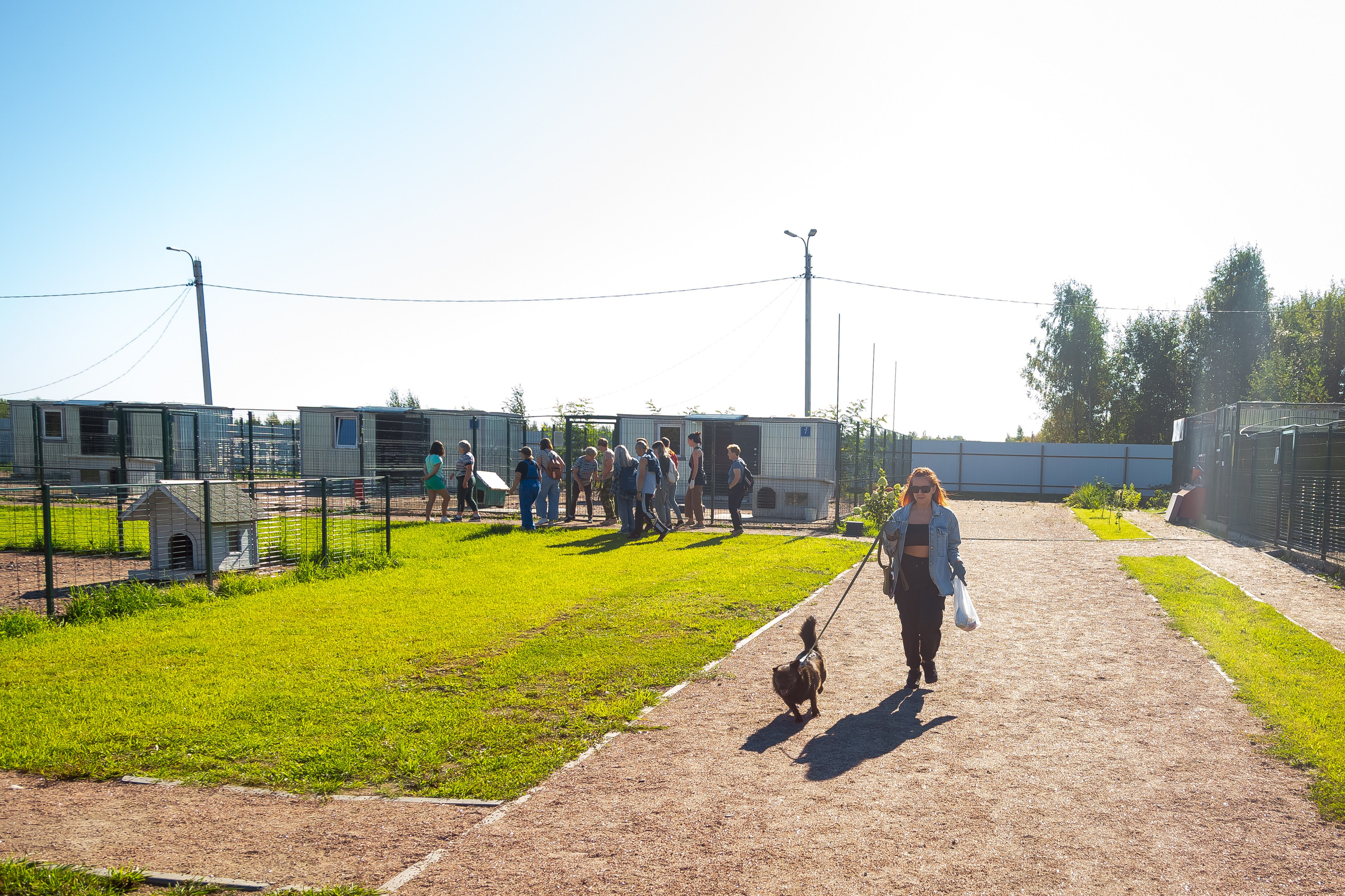 Petshop Забота. Фотограф в Санкт-Петербурге Чумаков Семен
