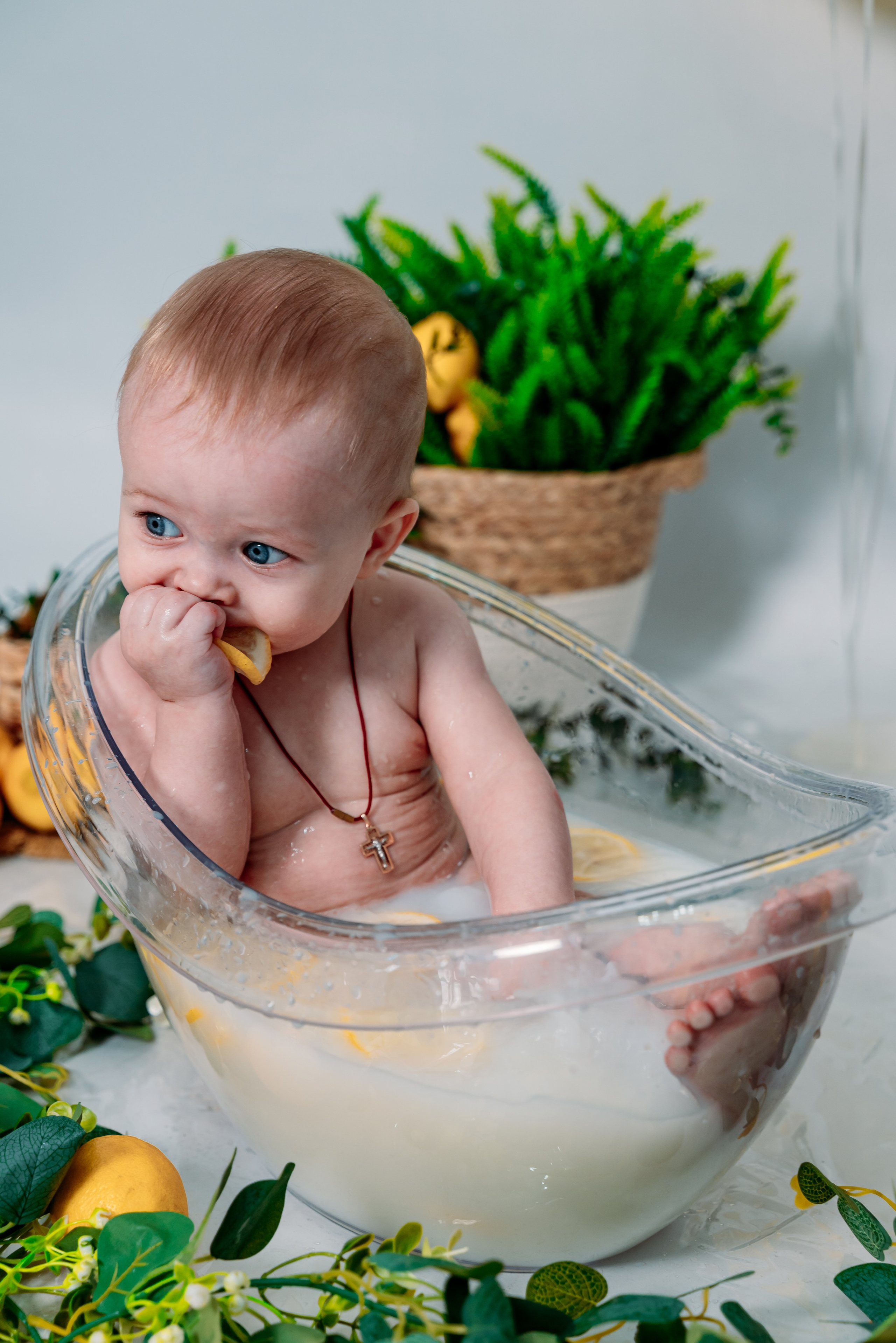 Лимонный бум. Фотограф Алёна Царькова. Киселевск