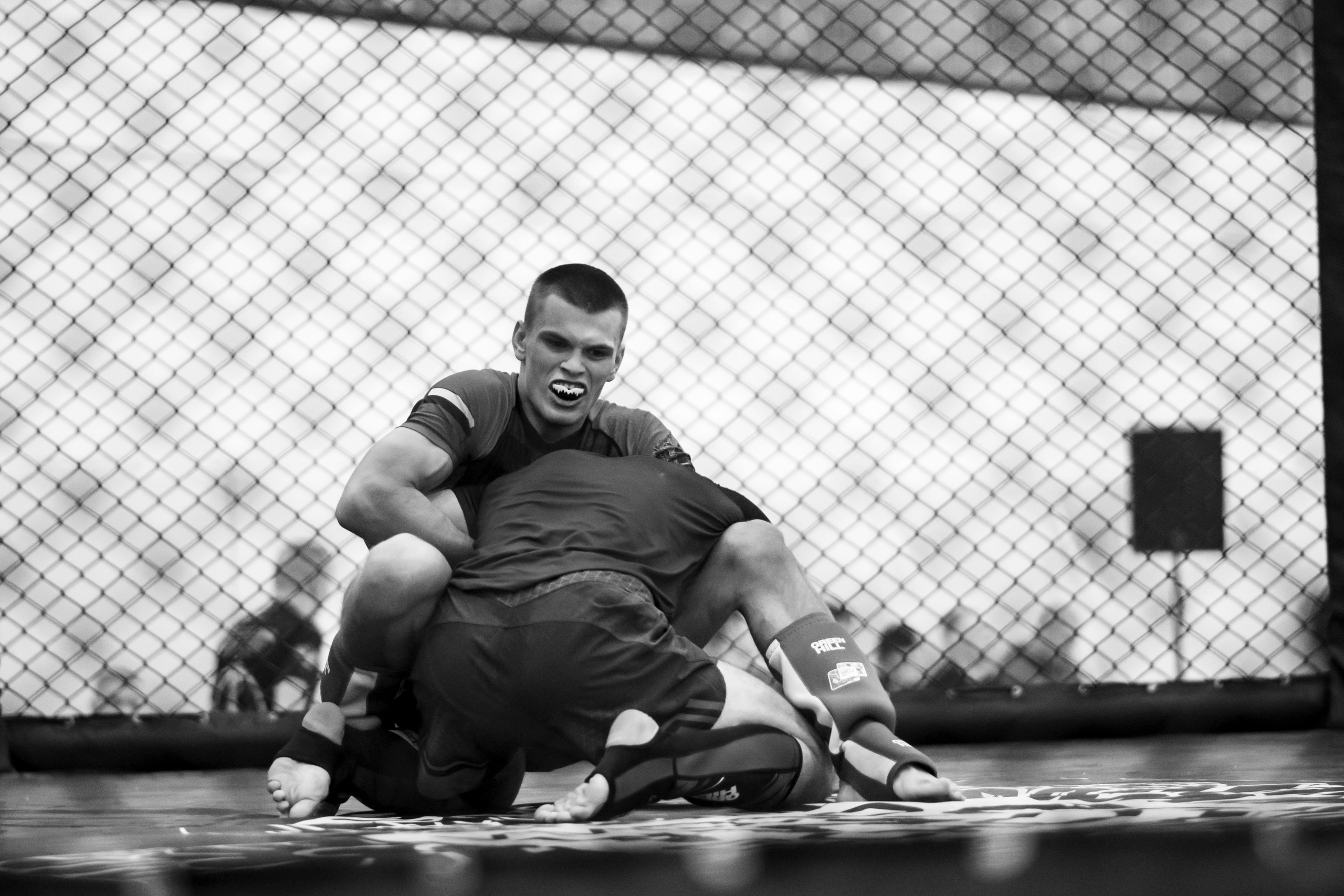 Всероссийский турнир ММА. Новомосковск, ноябрь 2025. Спортивный фотограф в Туле и Тульской области. Файсханова Фото Спорт