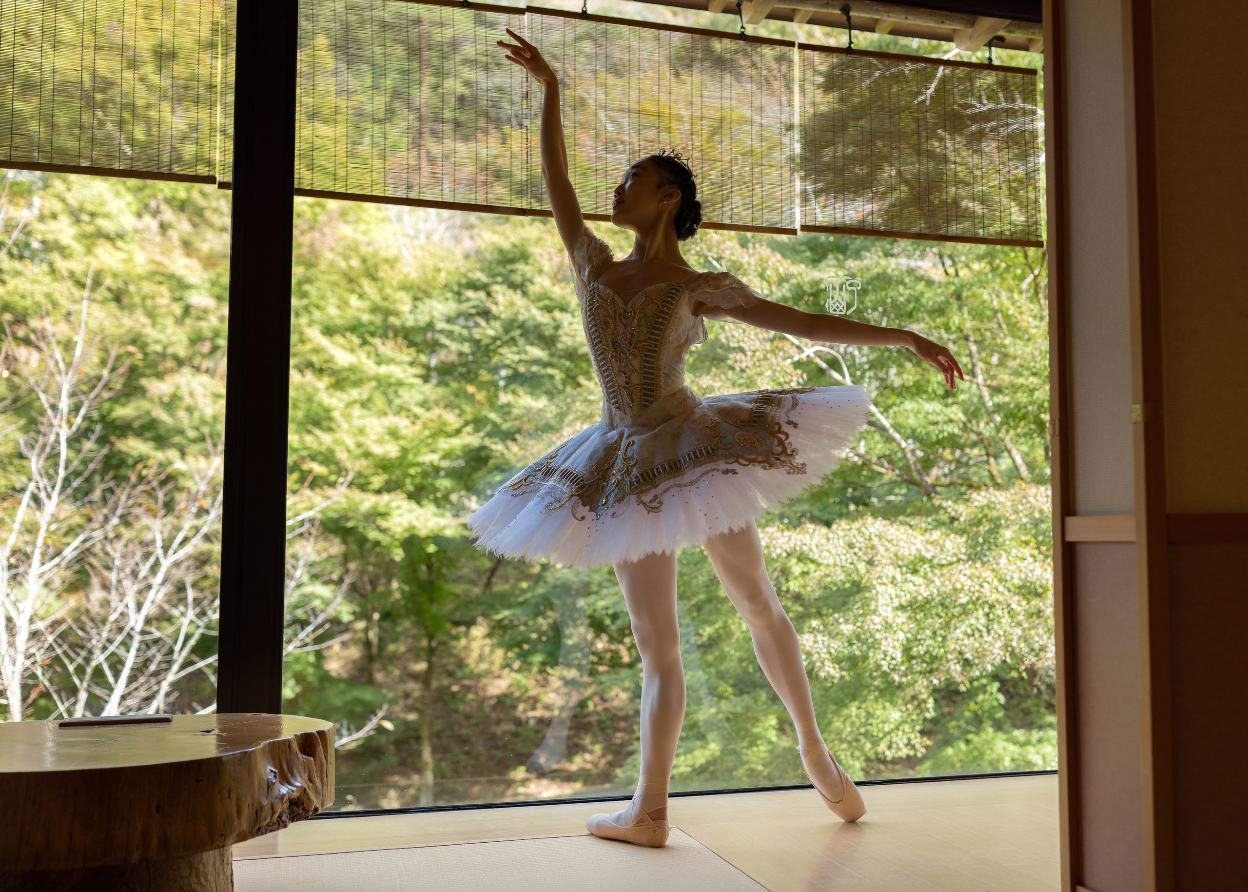 Балетная съёмка на улице. Балетный фотограф Алина Ханько — Душа Балета