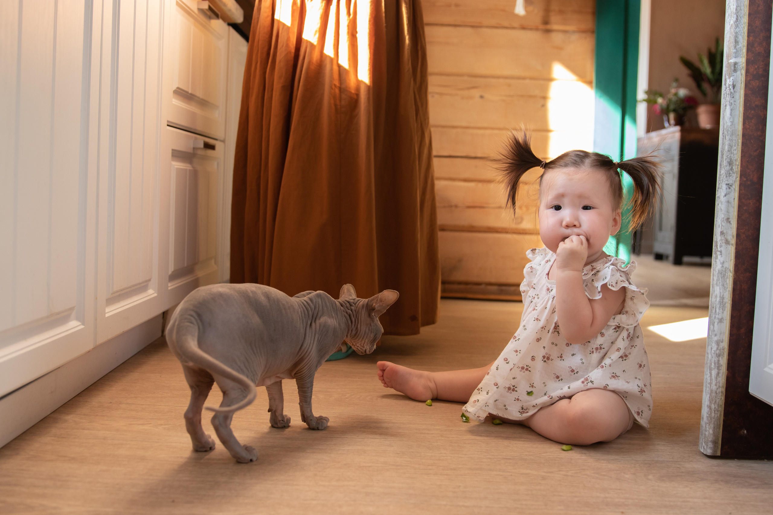 Семейная фотосессия. Ньургуйаана Тарагаева. Детский и семейный фотограф в Якутске