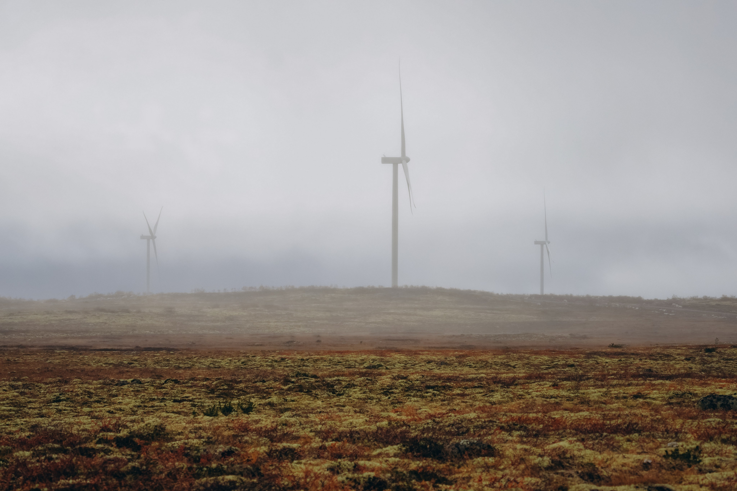 СЕВЕР. Event фотограф Степанова Александра