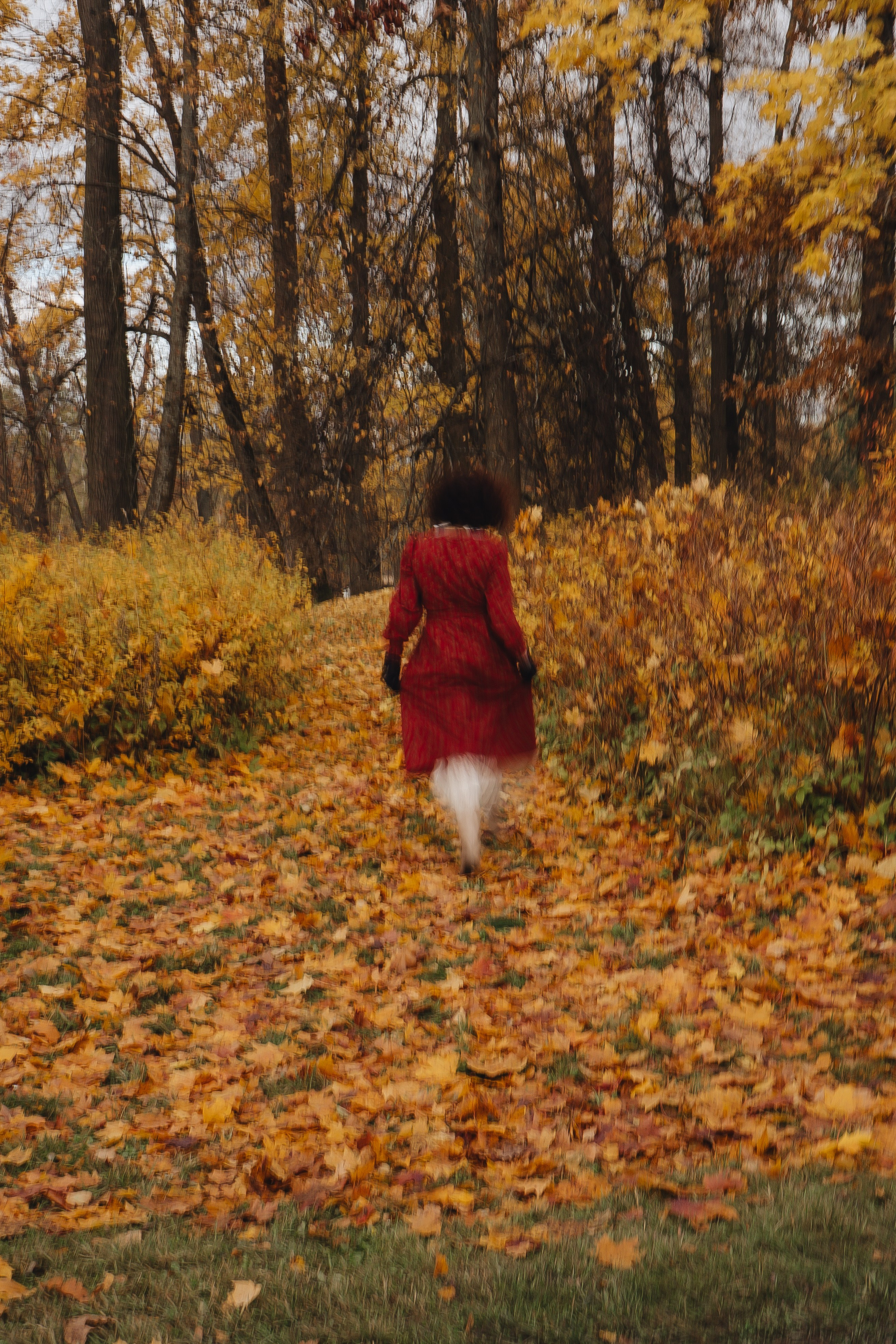 Осенний парк. Профессиональный фотограф, Санкт-Петербург — Виктория Богомолова