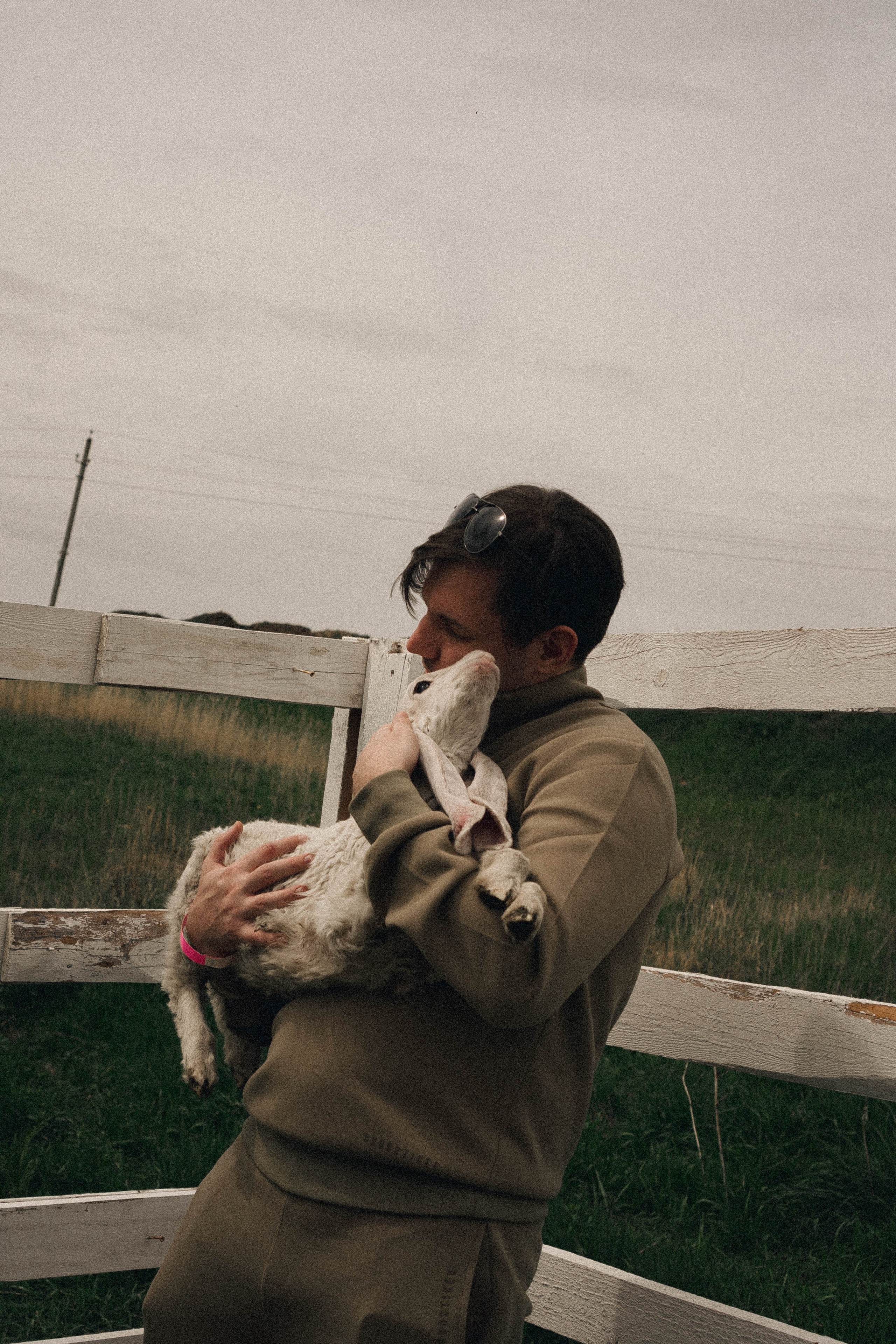 Ферма Альпак. Профессиональный фотограф, Санкт-Петербург — Виктория Богомолова