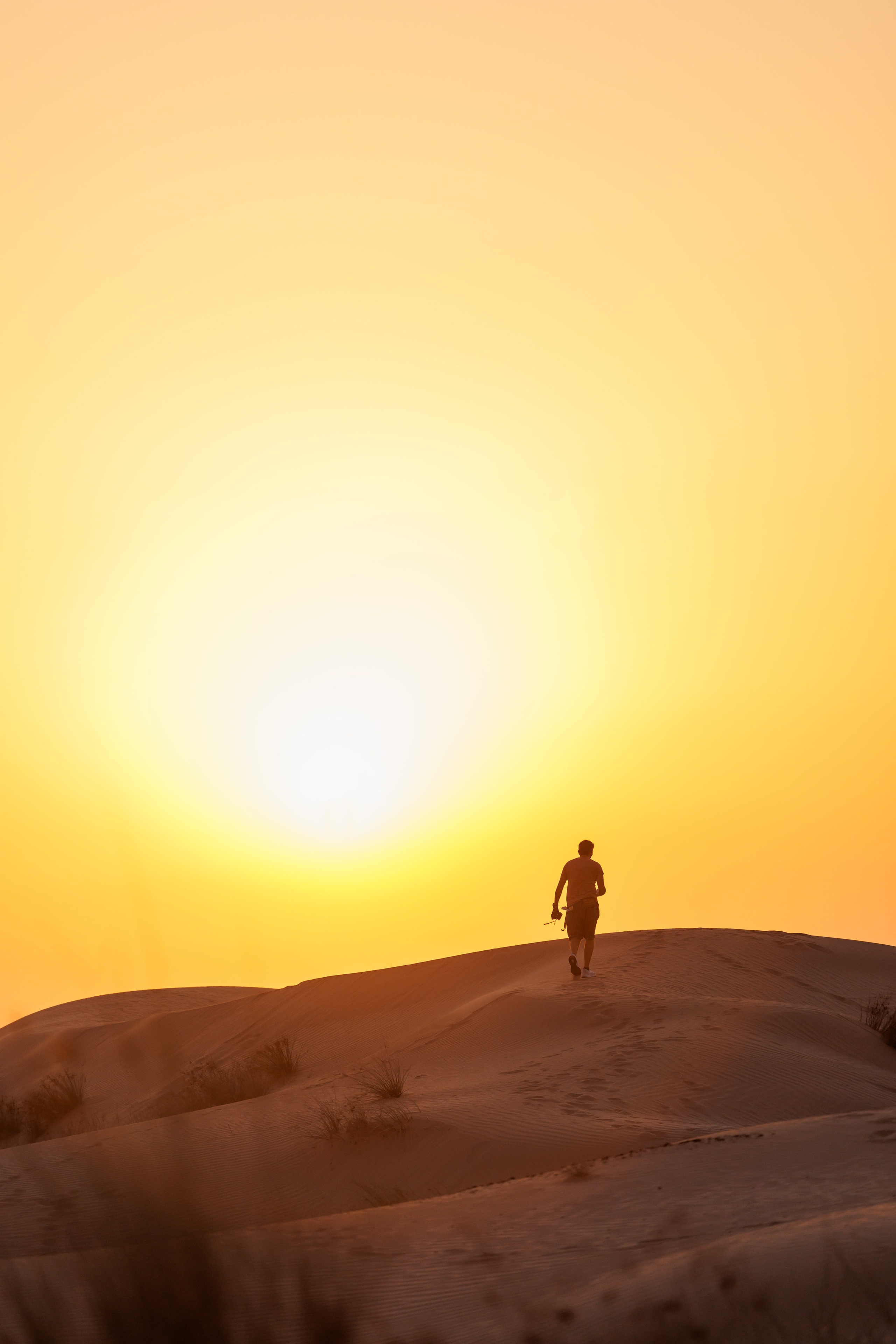 Dezert. Photographer in Saint-Petersburg and Moscow Max Spector