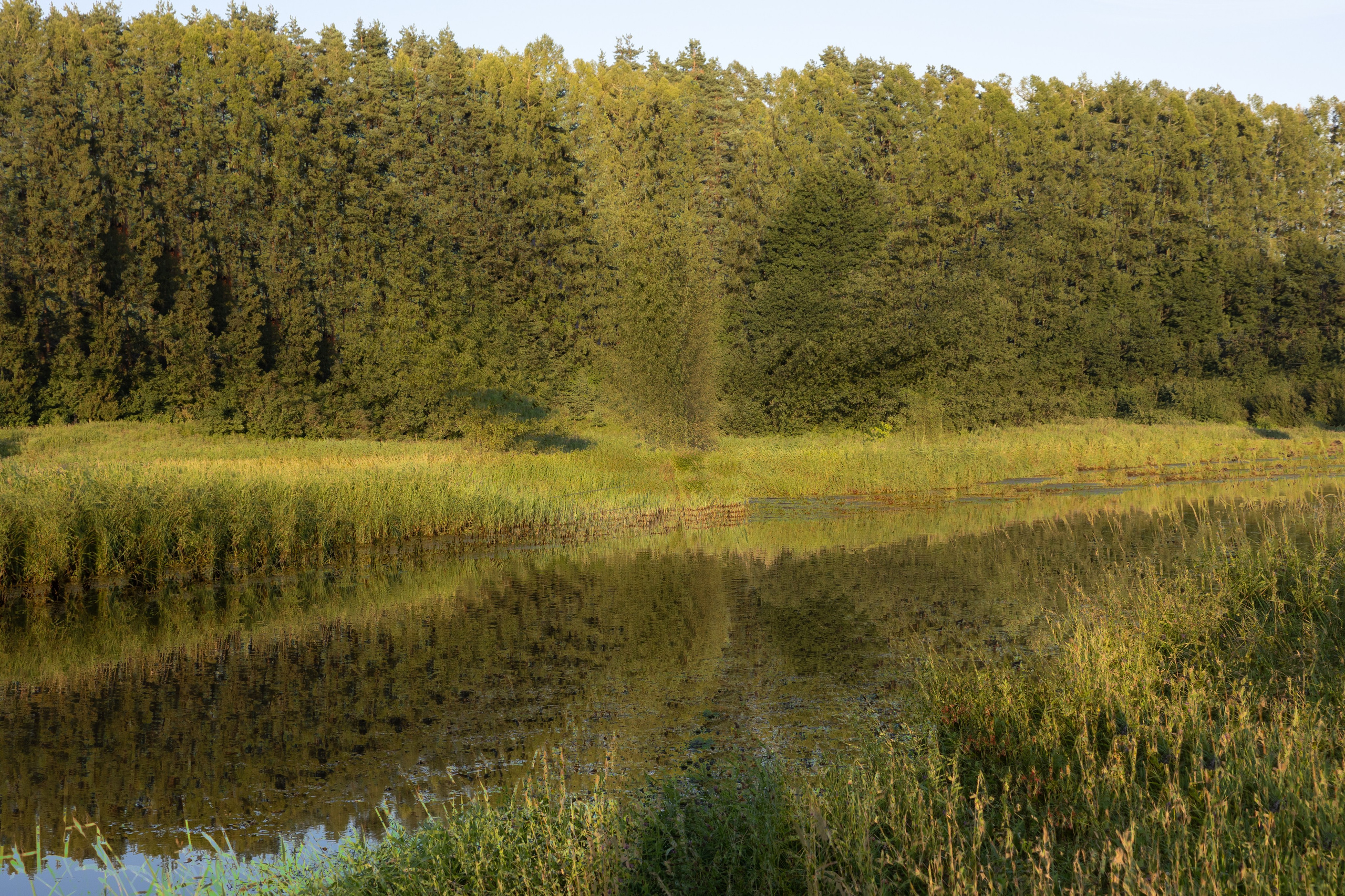 Точка сборки | The assembly point. Фотограф алина стерхова, алина стерхова фотограф, фотограф москва