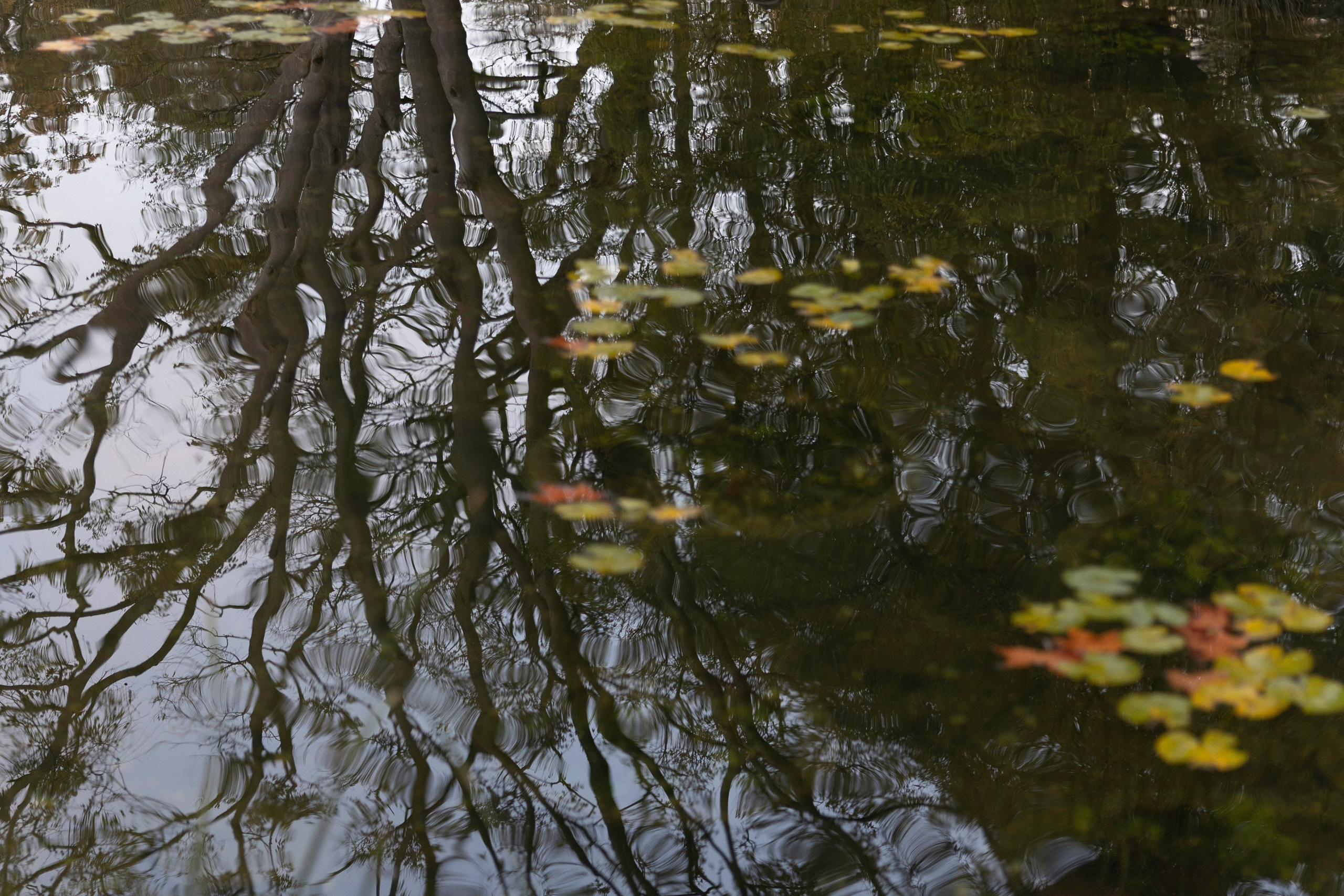 Art prints. Фотограф алина стерхова, алина стерхова фотограф, фотограф москва