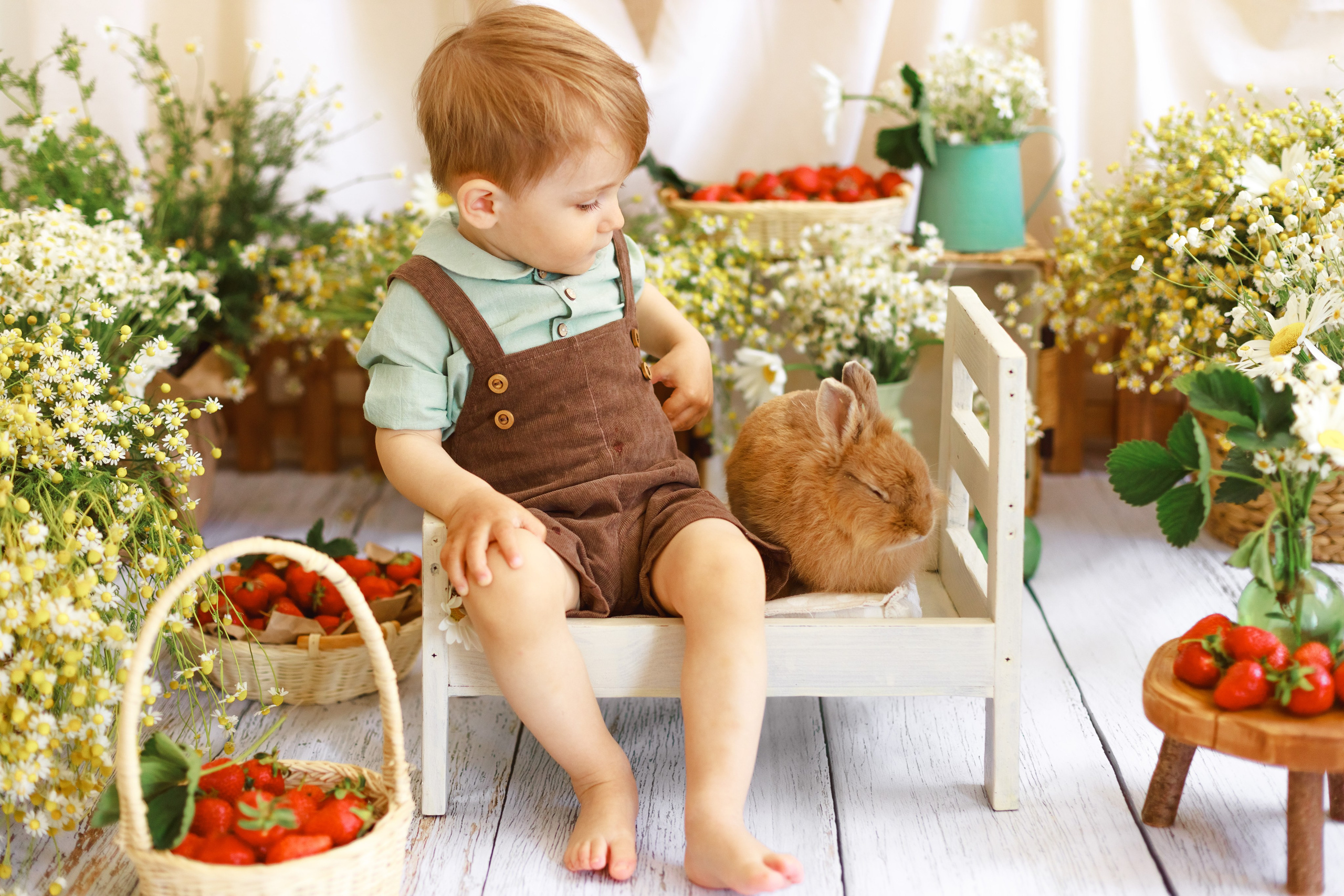 Ян и клубничка. Детский и семейный фотограф в Краснодаре Альбина Морозова