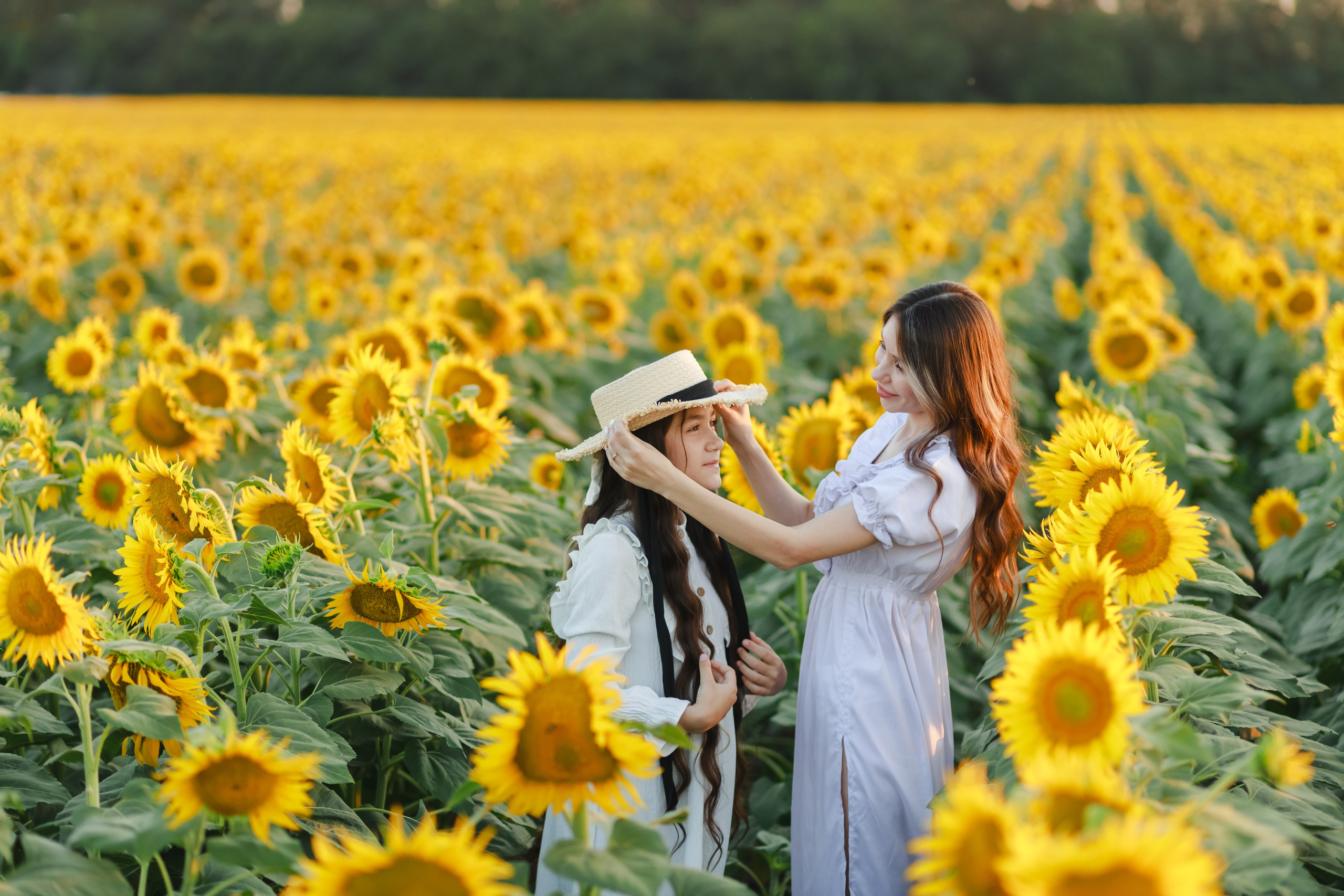 Евгения и Кира. Поле подсолнухов. Детский и семейный фотограф в Краснодаре Альбина Морозова