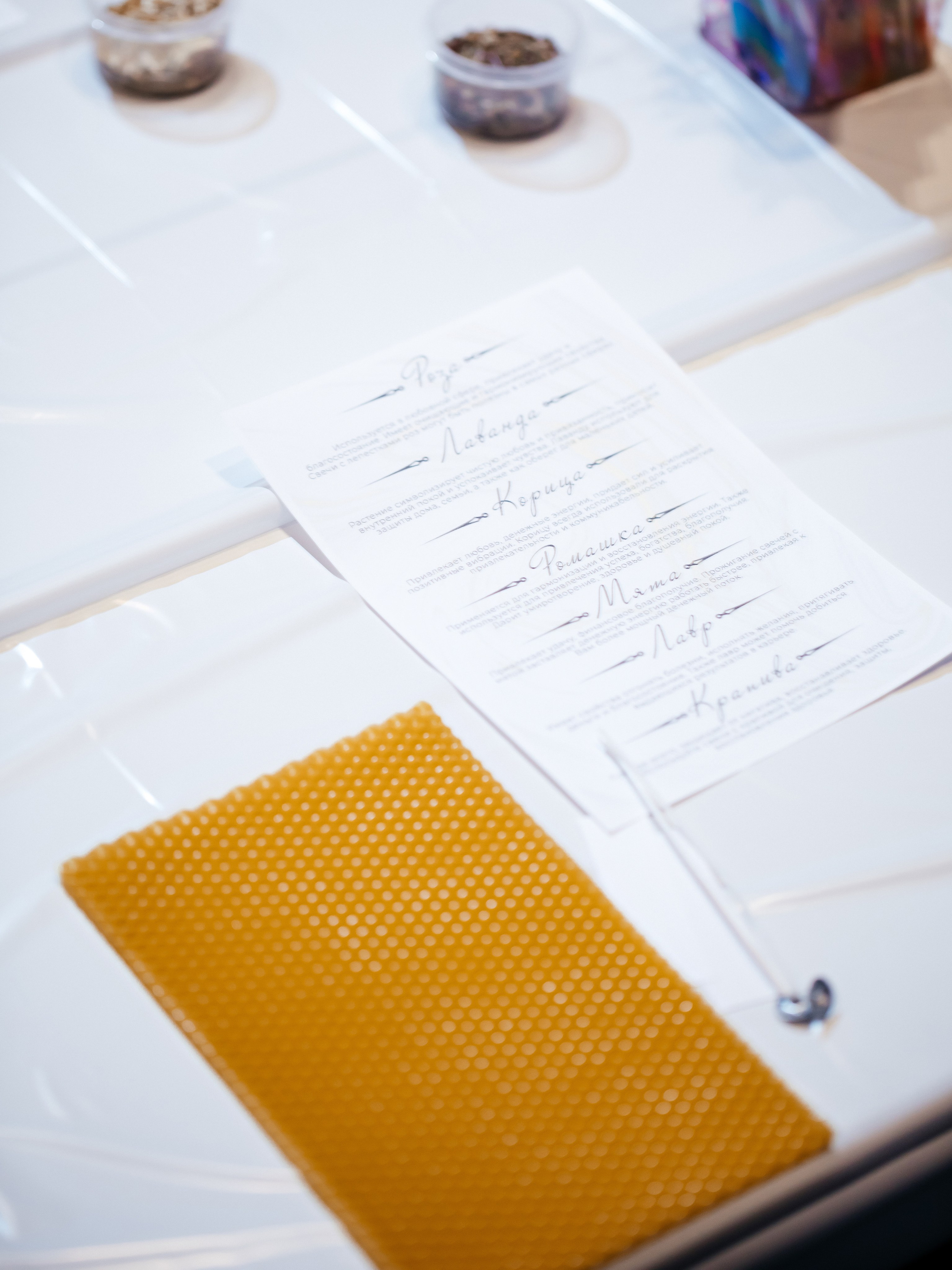 Конференция врачей. Красильников Евгений — профессиональный фотограф в Ростове-на-Дону