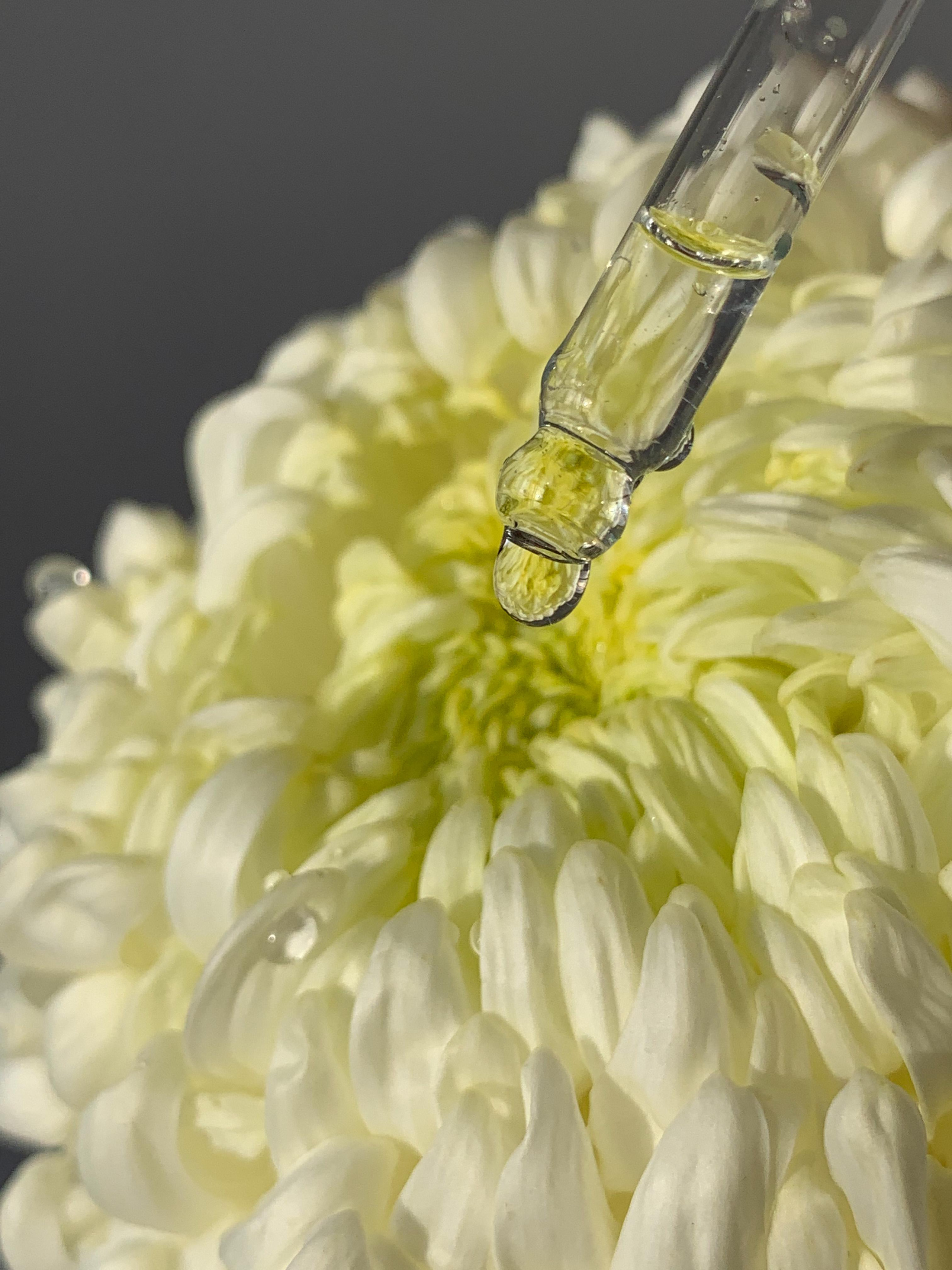 Визуал для бренда Живой Воды. Арт-фотограф в Краснодаре