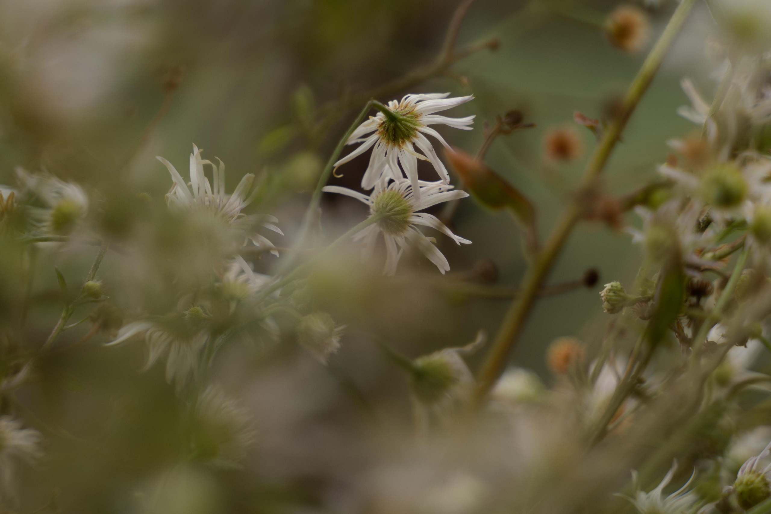Внутренняя свобода. Арт-фотограф в Краснодаре