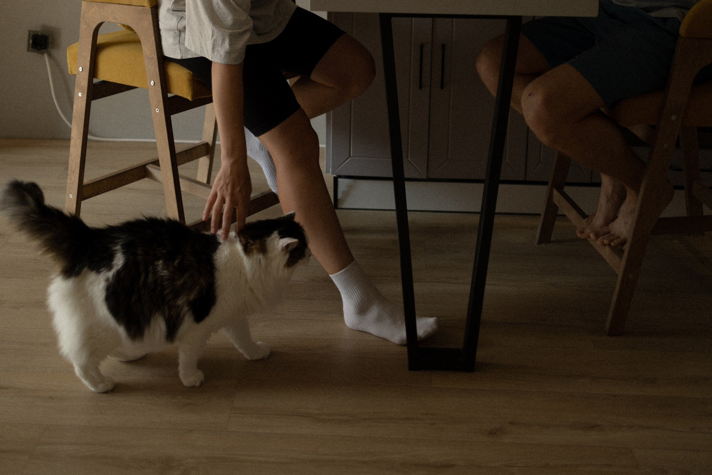 Бегущие айтишники. Фотограф Daria Wilner