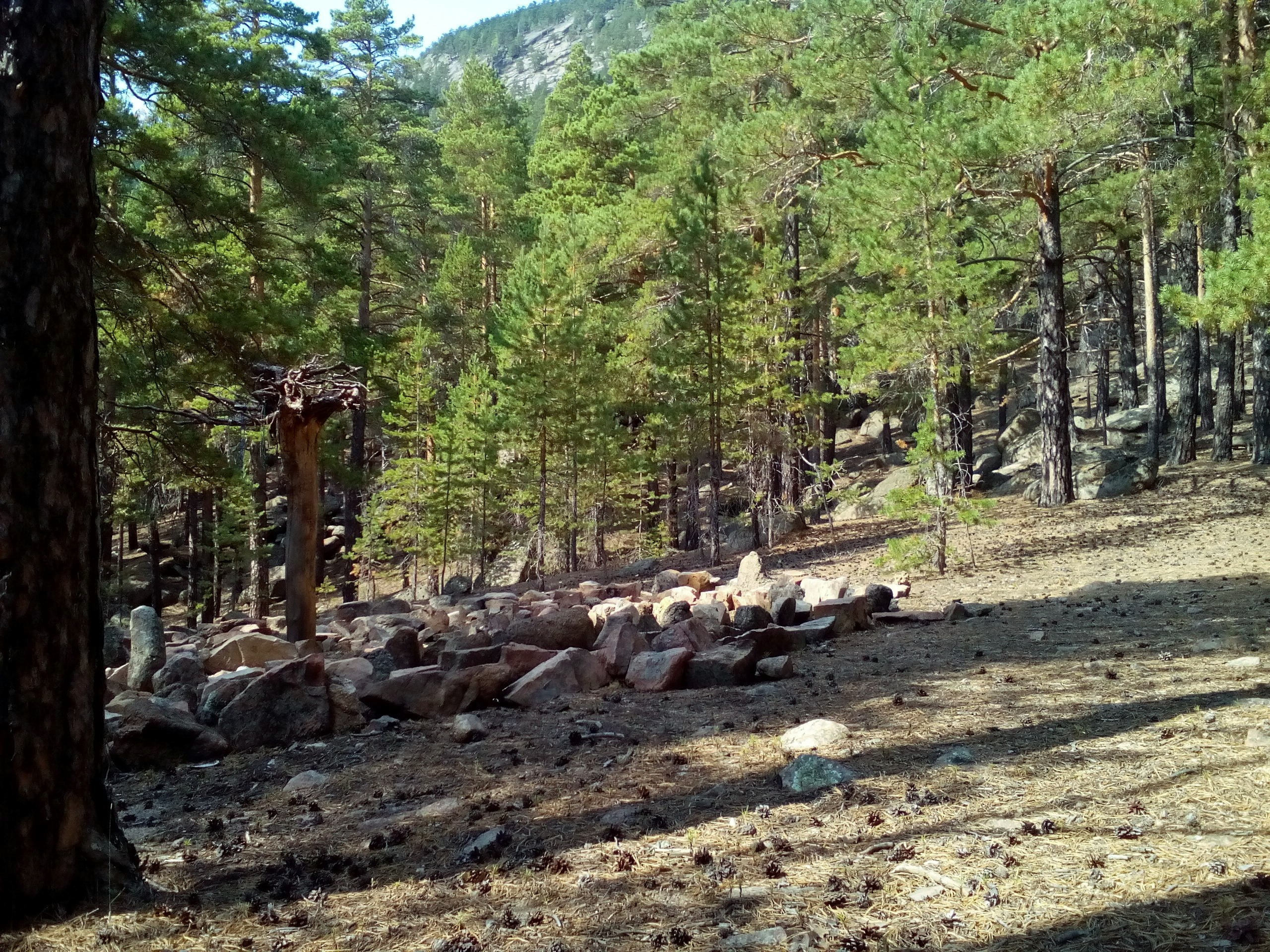 Боровое 2017 (из архива). Избранные фотографии