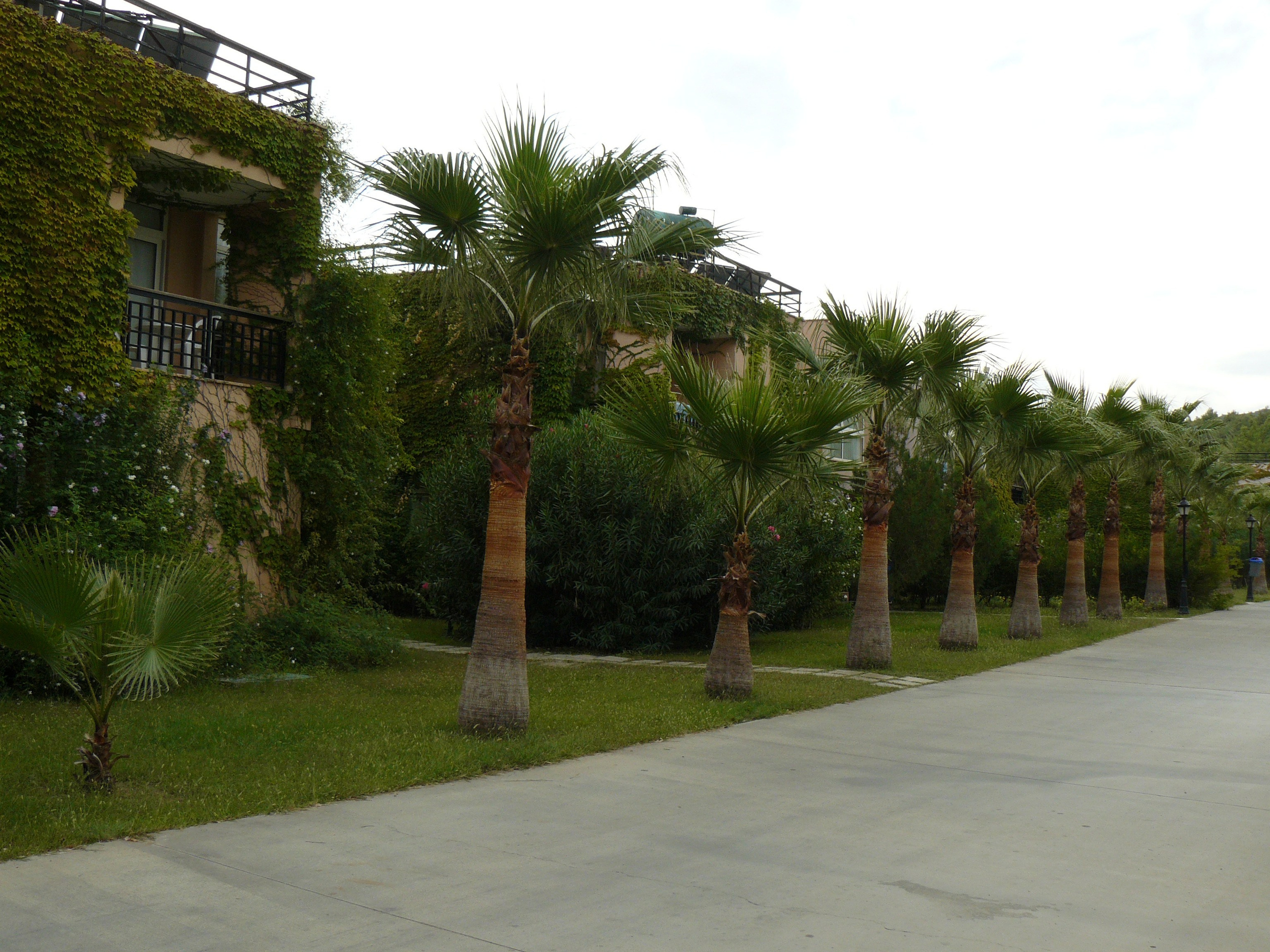 Кемер, Чамьюва 2008. Избранные фотографии